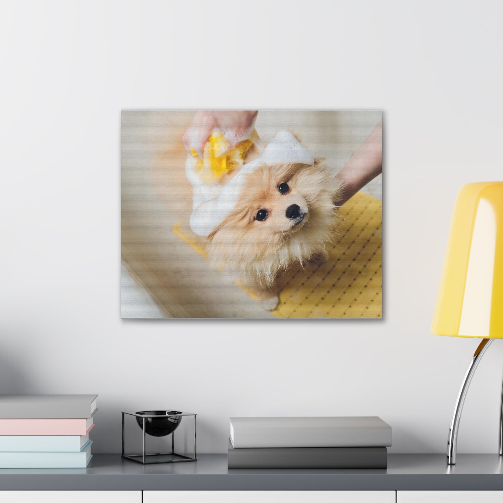 Cute Pomeranian Bathee Canvas Wall Art for Home Decor Ready-to-Hang-Express Your Love Gifts