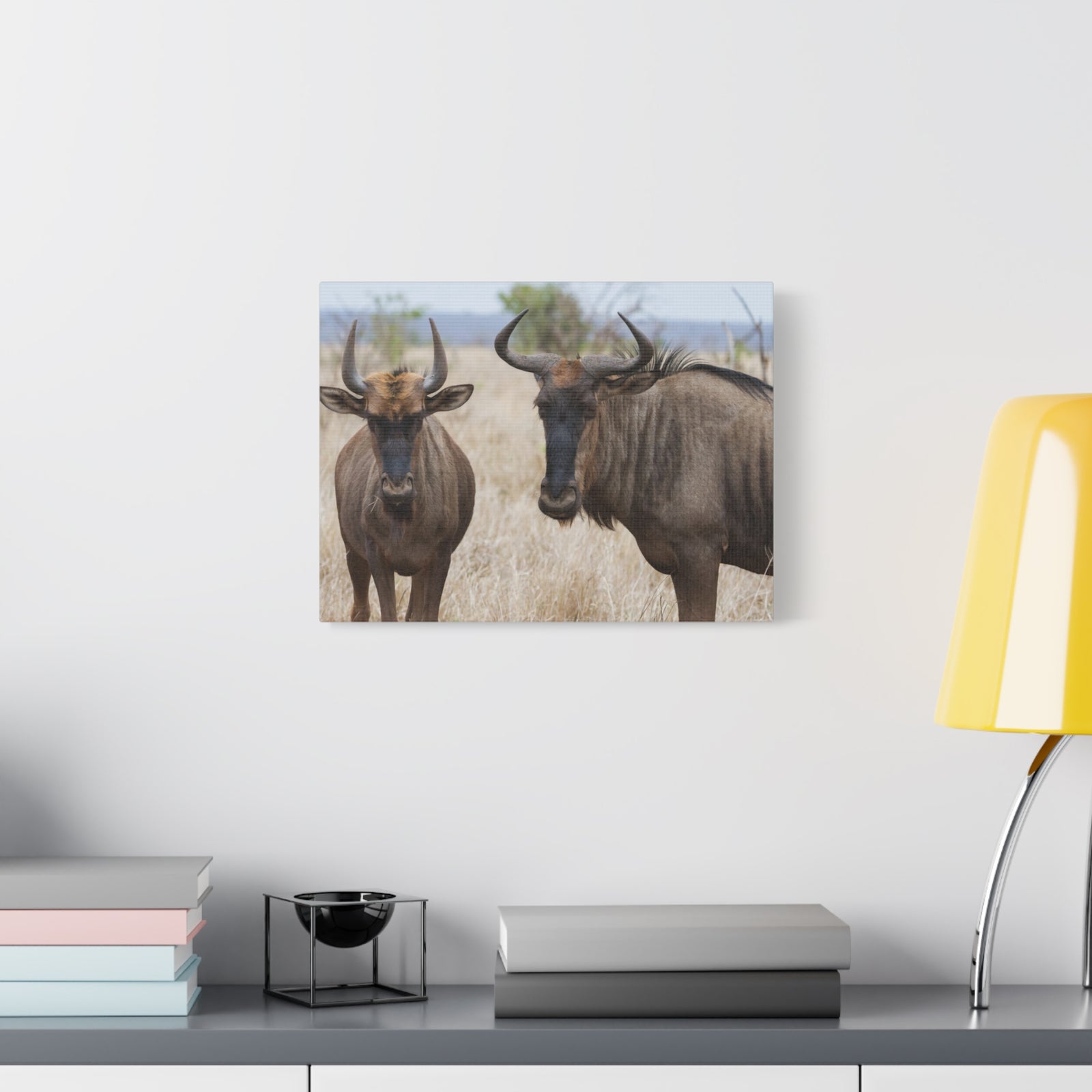 Funny Wildebeest Silly Wildebeest Scene Couple Wall Art Ready to Hang-Express Your Love Gifts