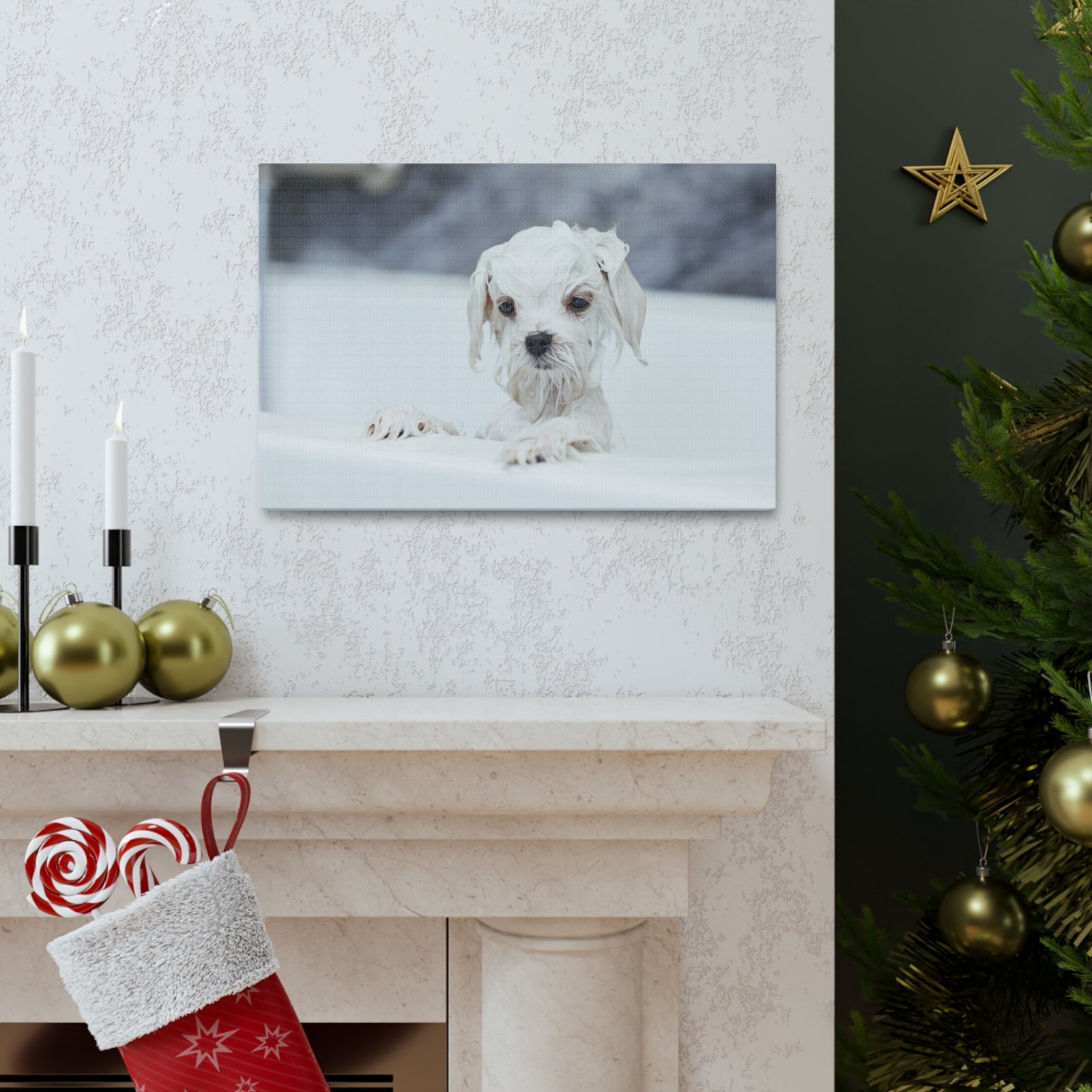 Cute White Maltese Bath Canvas Wall Art for Home Decor Ready-to-Hang-Express Your Love Gifts