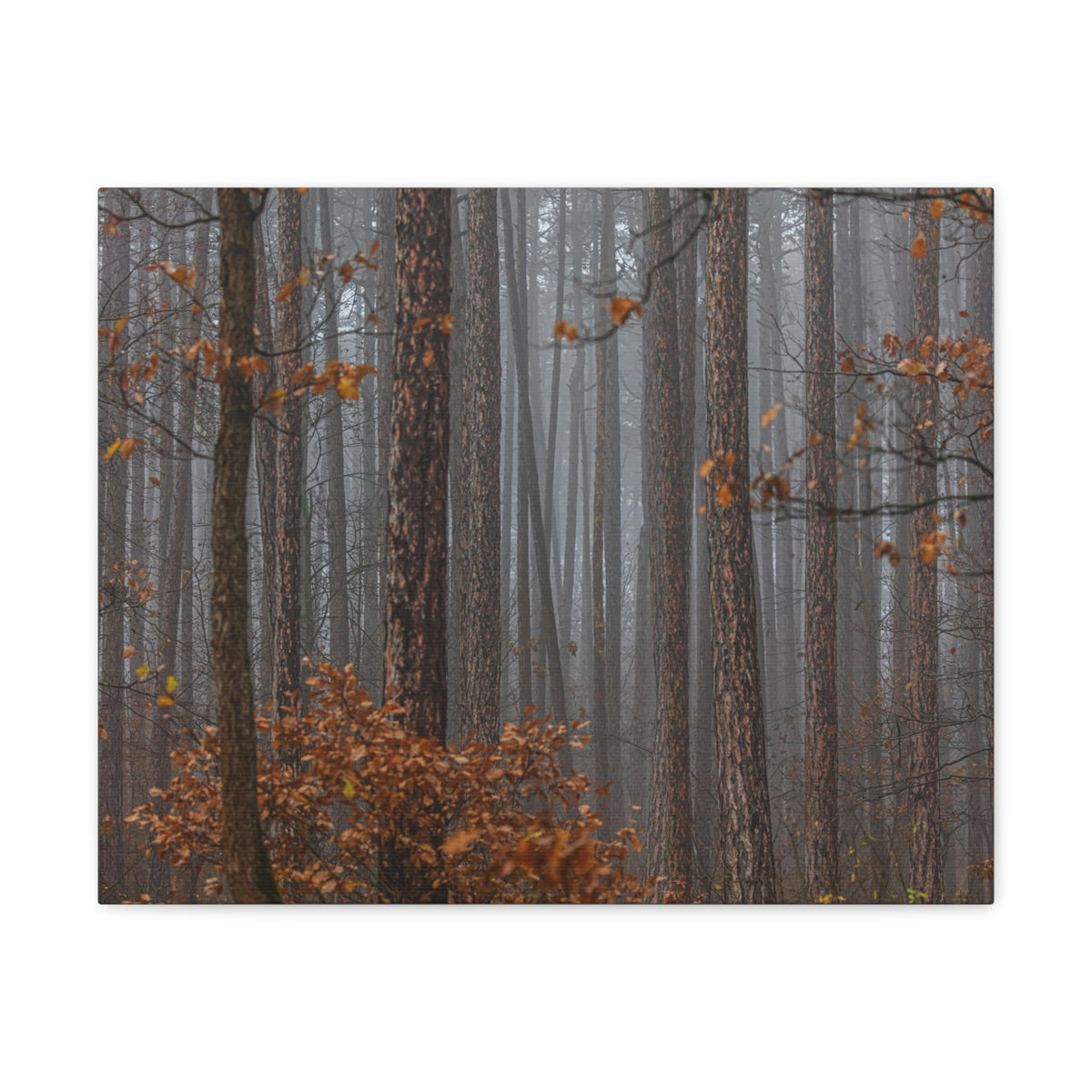 Autumn Forest Misty Orange Leave Nature Wilderness Photography Canvas Wall Art for Home Decor Ready-to-Hang-Express Your Love Gifts