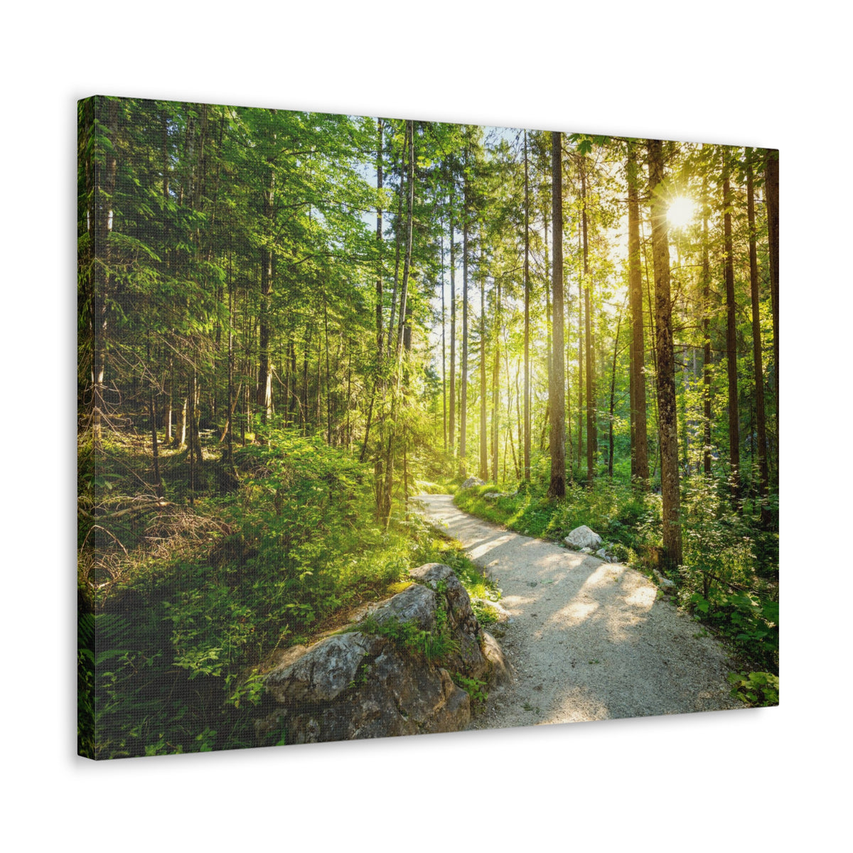 Sunlight Passing Through Green Forest Path Nature Wilderness Photography Canvas Wall Art for Home Decor Ready-to-Hang-Express Your Love Gifts