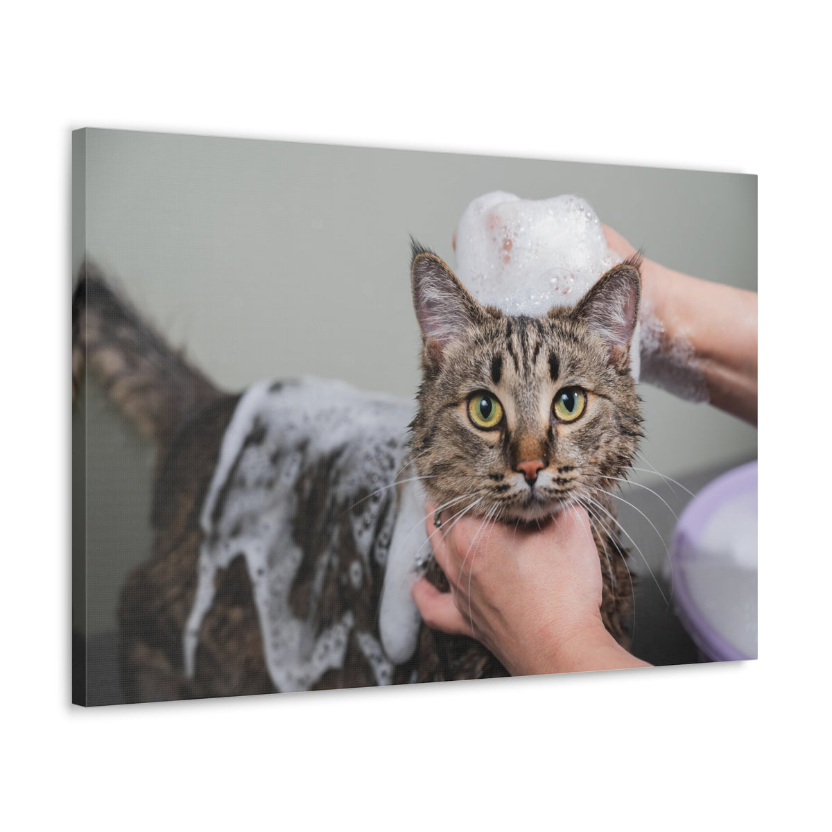 Cute Tabby Gray Cat Bathee Canvas Wall Art for Home Decor Ready-to-Hang-Express Your Love Gifts