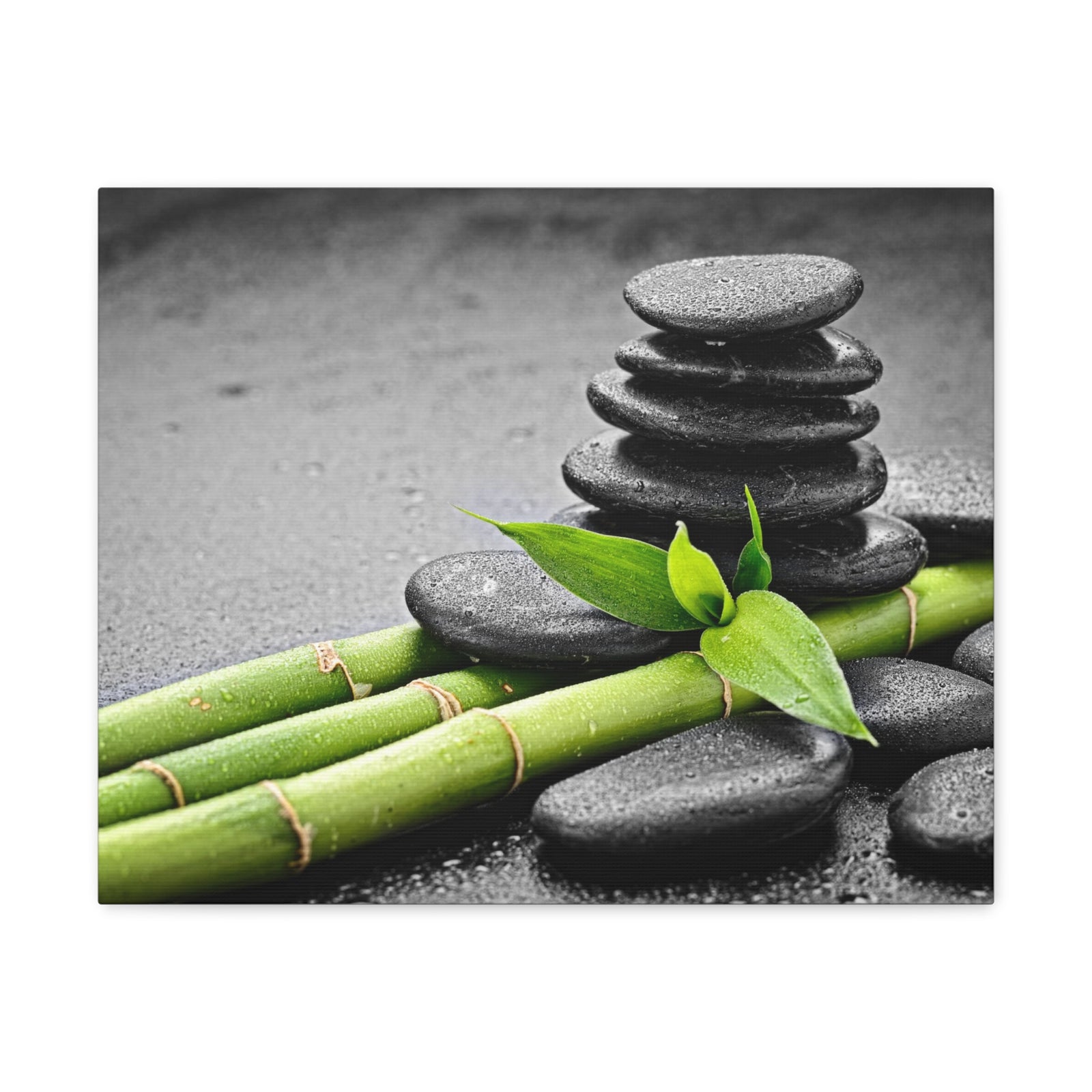 Bamboo on the Black Forest Floral Nature Photography Canvas Wall Art for Home Decor Ready-to-Hang-Express Your Love Gifts