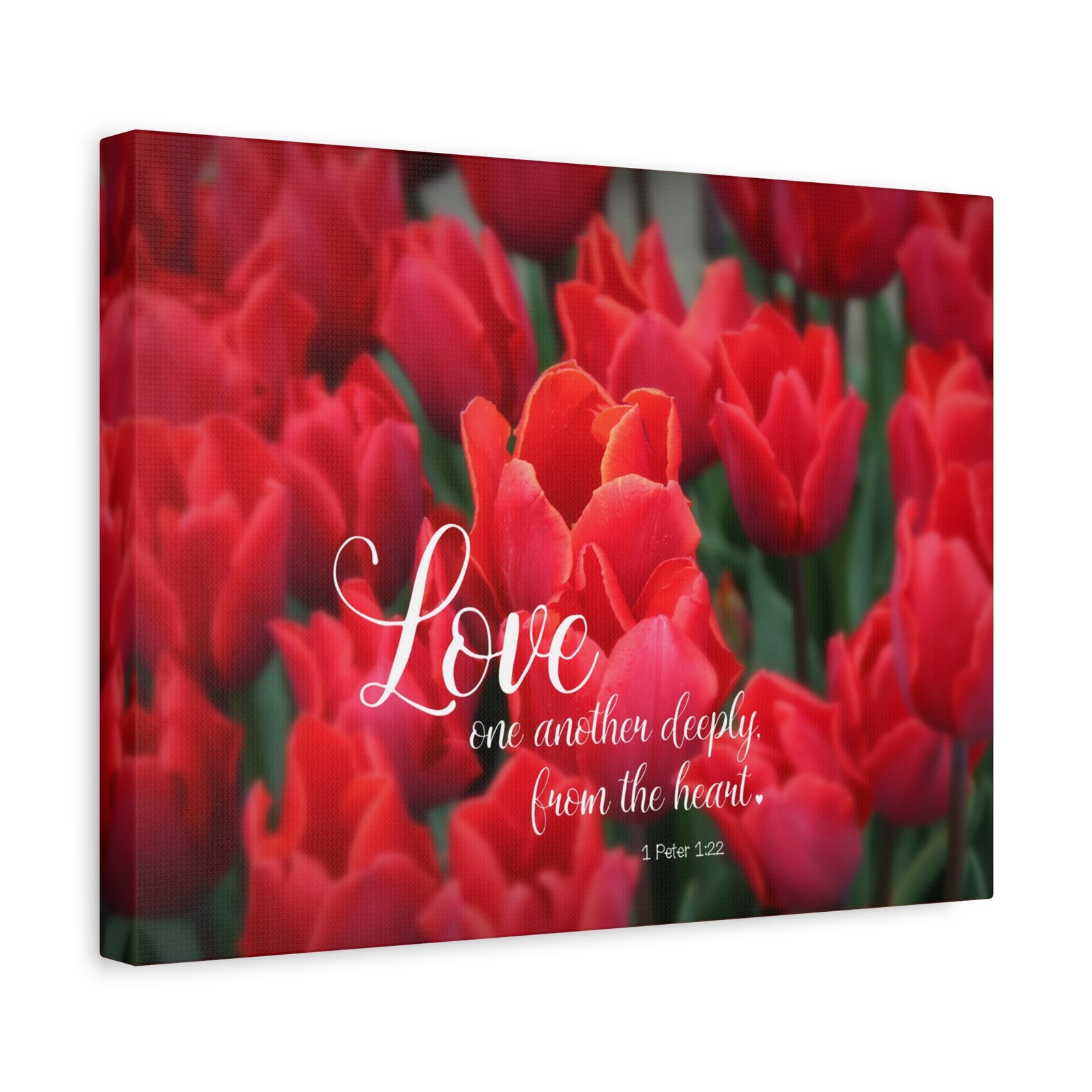Scripture Canvas From The Heart 1 Peter 1:22 Christian Wall Art Bible Verse Print Ready to Hang-Express Your Love Gifts