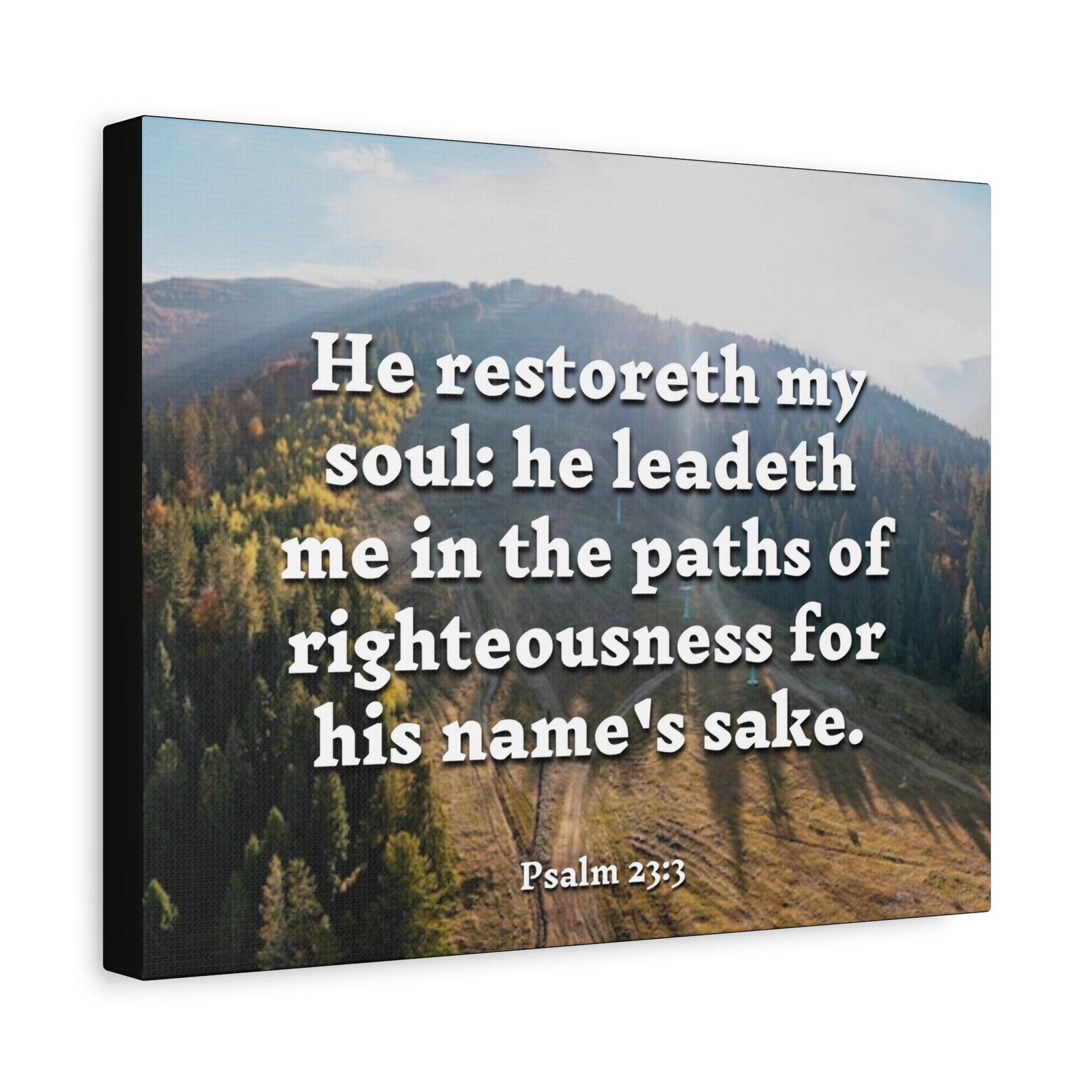 Scripture Canvas Paths Of Righteousness Psalm 23:3 Christian Wall Art Bible Verse Print Ready to Hang-Express Your Love Gifts