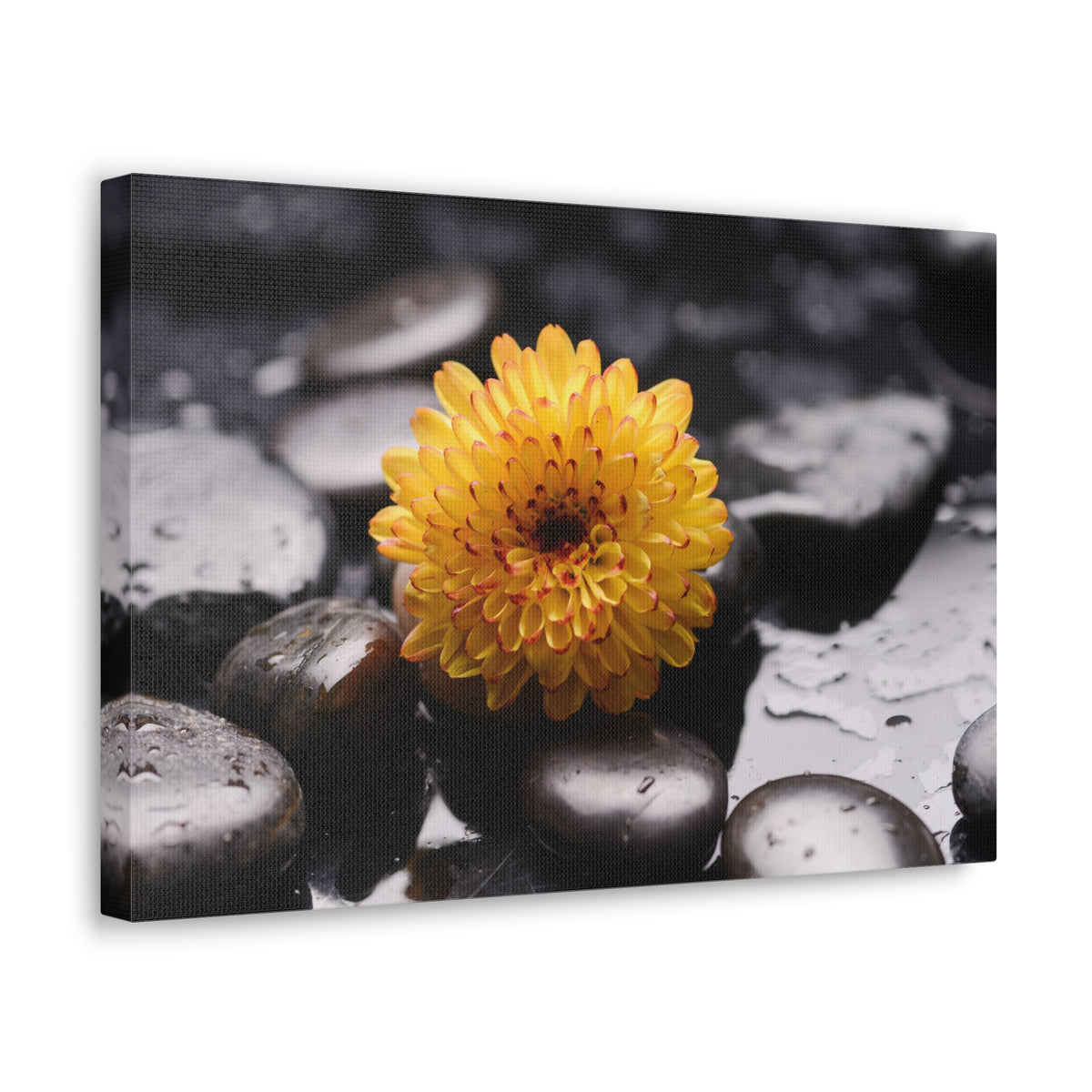 Macro of Yellow Flower Forest Floral Nature Photography Canvas Wall Art for Home Decor Ready-to-Hang-Express Your Love Gifts