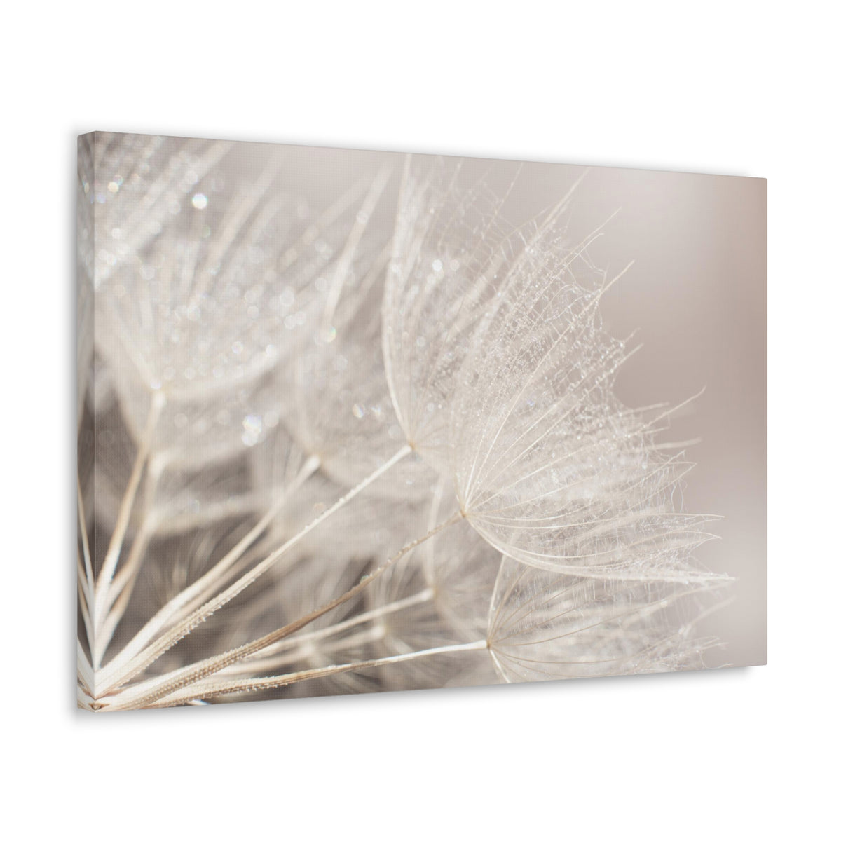 Soft Focus Dandelion At Sunset Seed Macro Closeup Canvas Wall Art for Home Decor Ready-to-Hang-Express Your Love Gifts