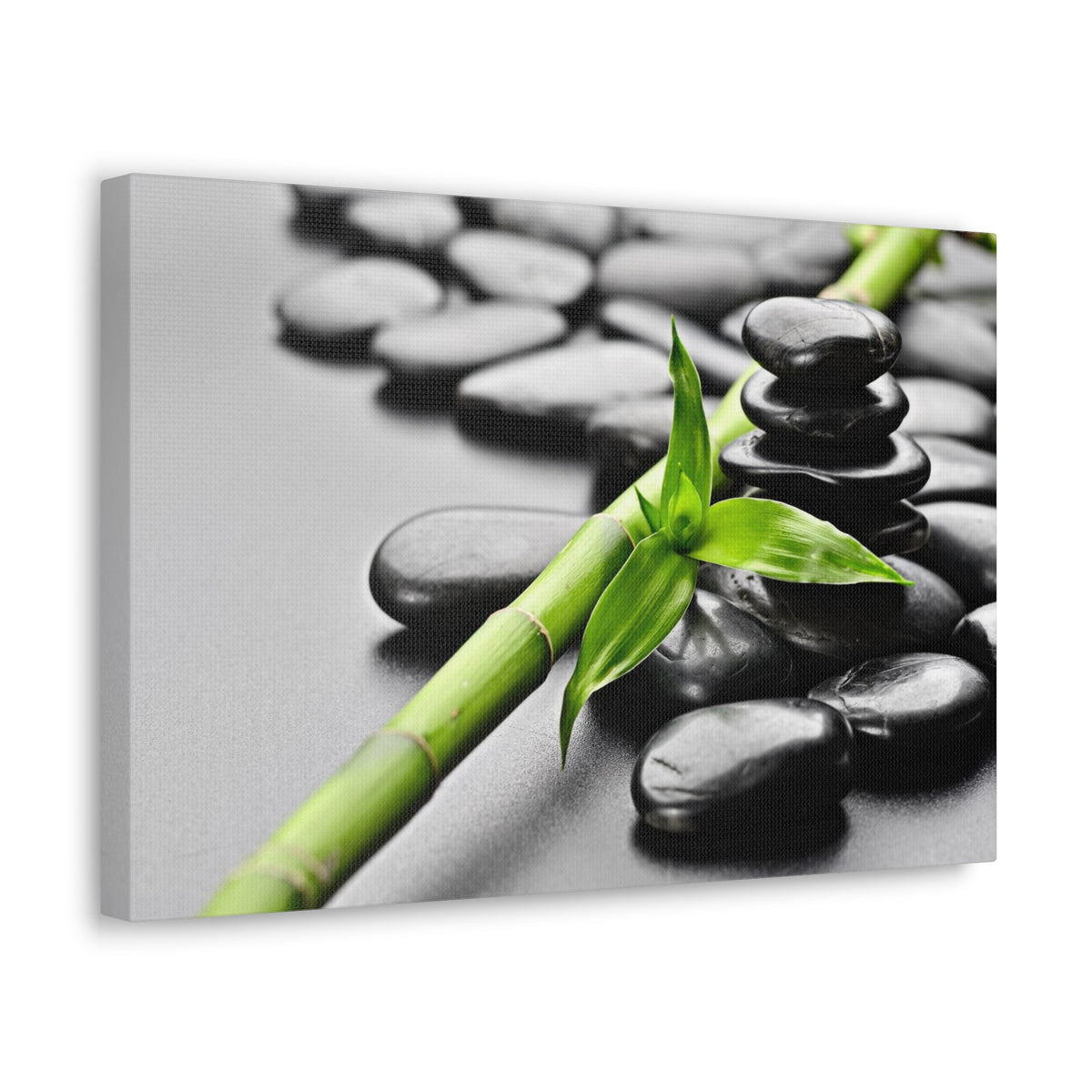 Basalt Stones on Black Forest Floral Nature Photography Canvas Wall Art for Home Decor Ready-to-Hang-Express Your Love Gifts