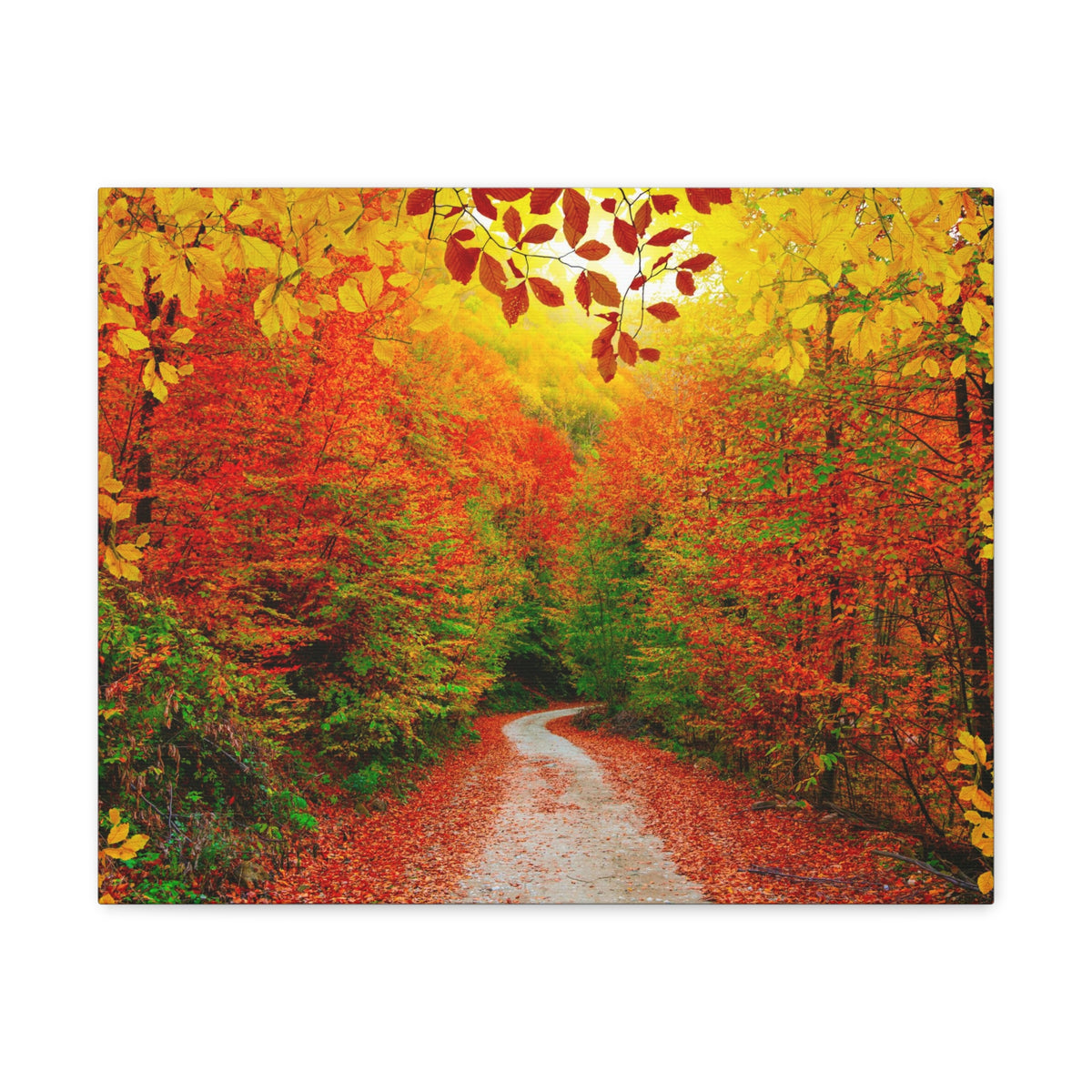 Autumn Fall Orange Leaf Forest Tree Trail Nature Wilderness Photography Canvas Wall Art for Home Decor Ready-to-Hang-Express Your Love Gifts