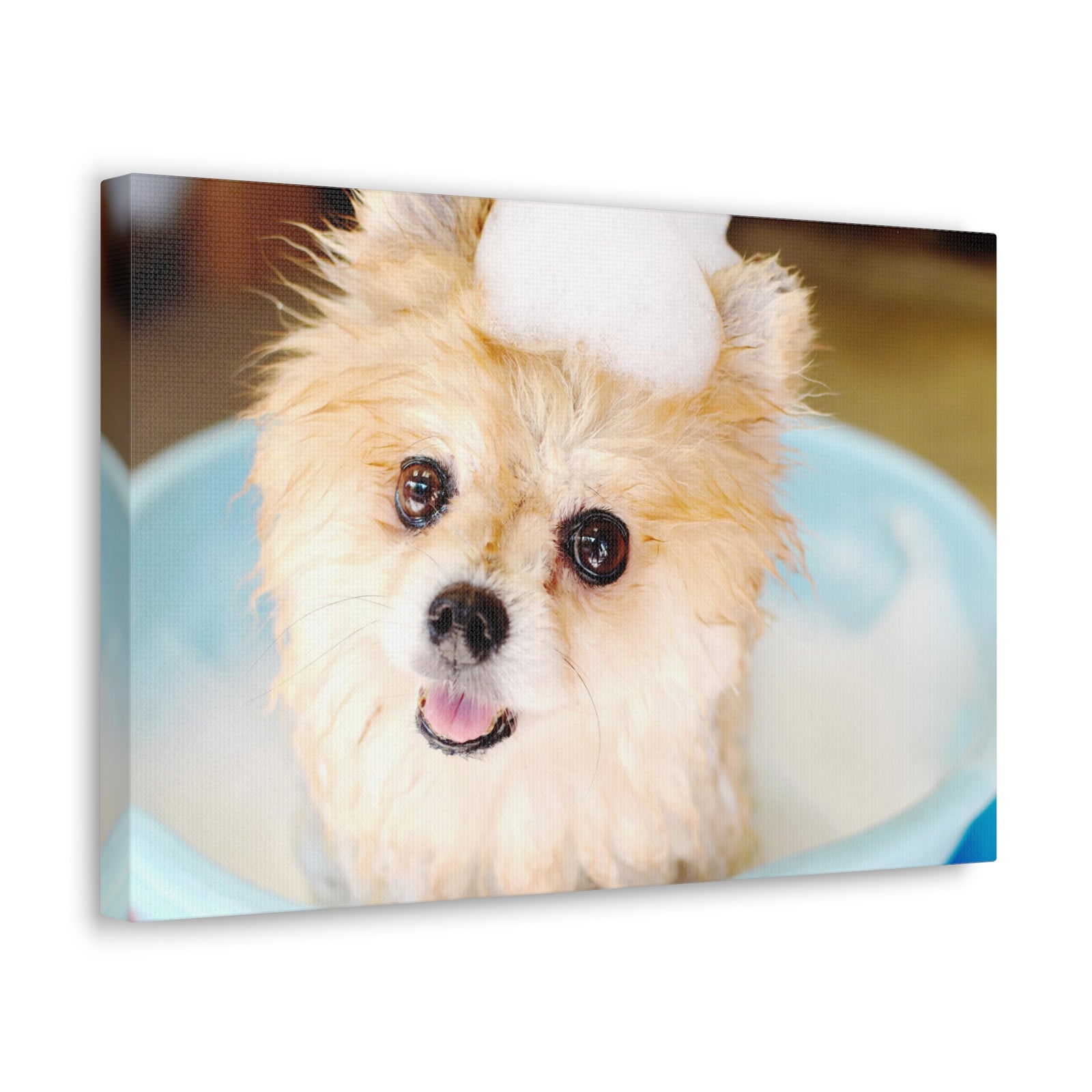 Cute Pomeranian Bathee Canvas Wall Art for Home Decor Ready-to-Hang-Express Your Love Gifts