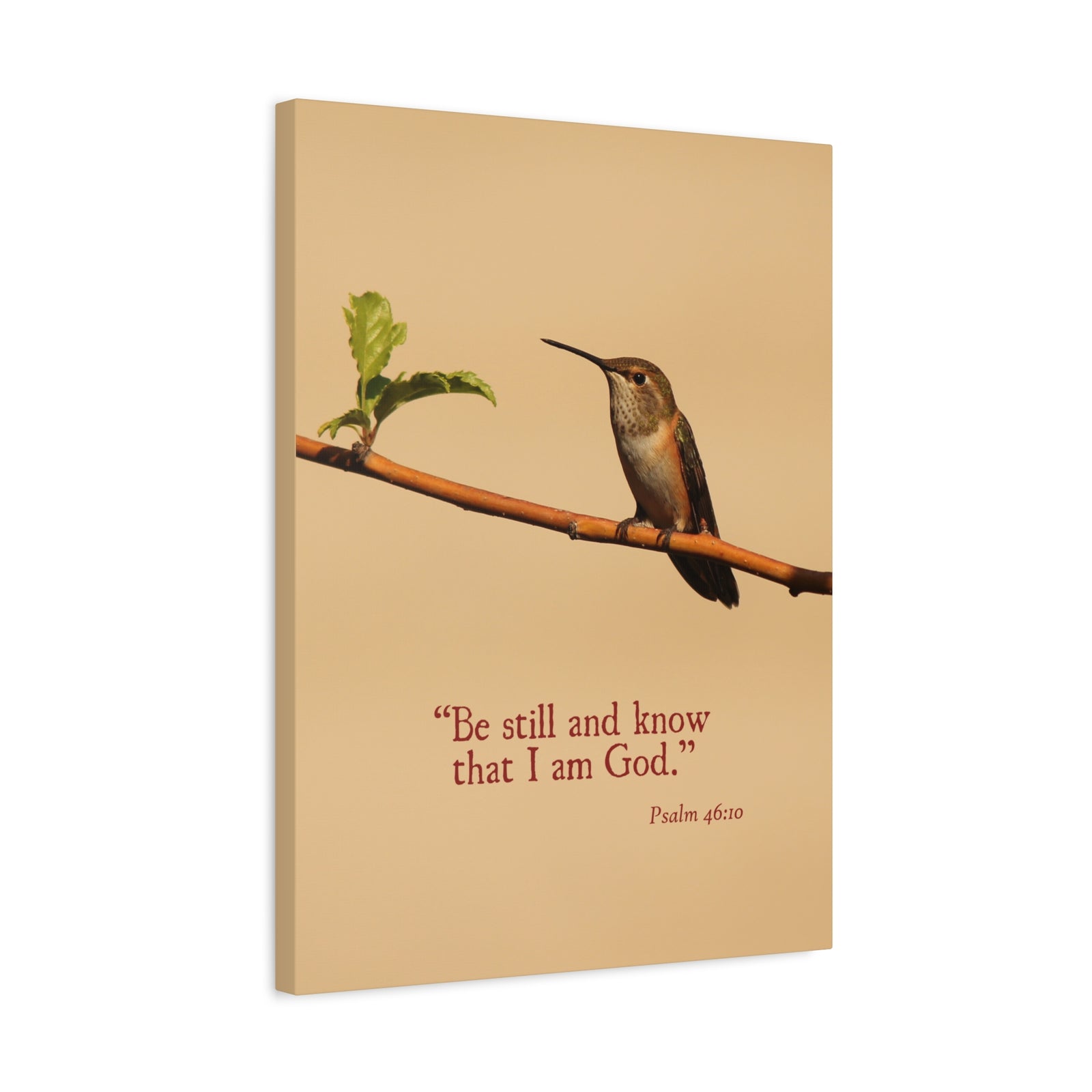 Scripture Canvas Know That I Am God Psalm 46:10 Christian Wall Art Bible Verse Print Ready to Hang-Express Your Love Gifts