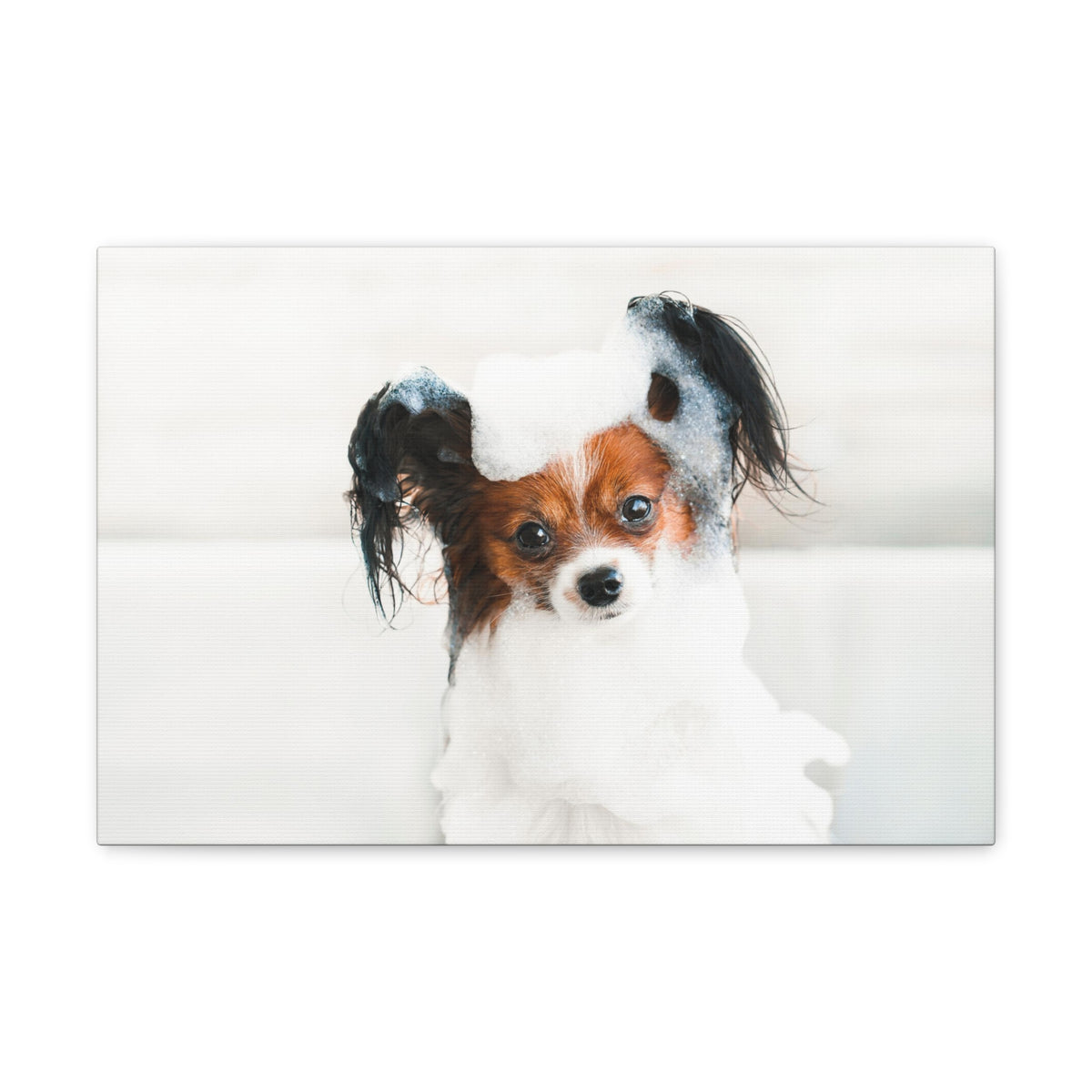 Cute Papillon Bath Canvas Wall Art for Home Decor Ready-to-Hang-Express Your Love Gifts