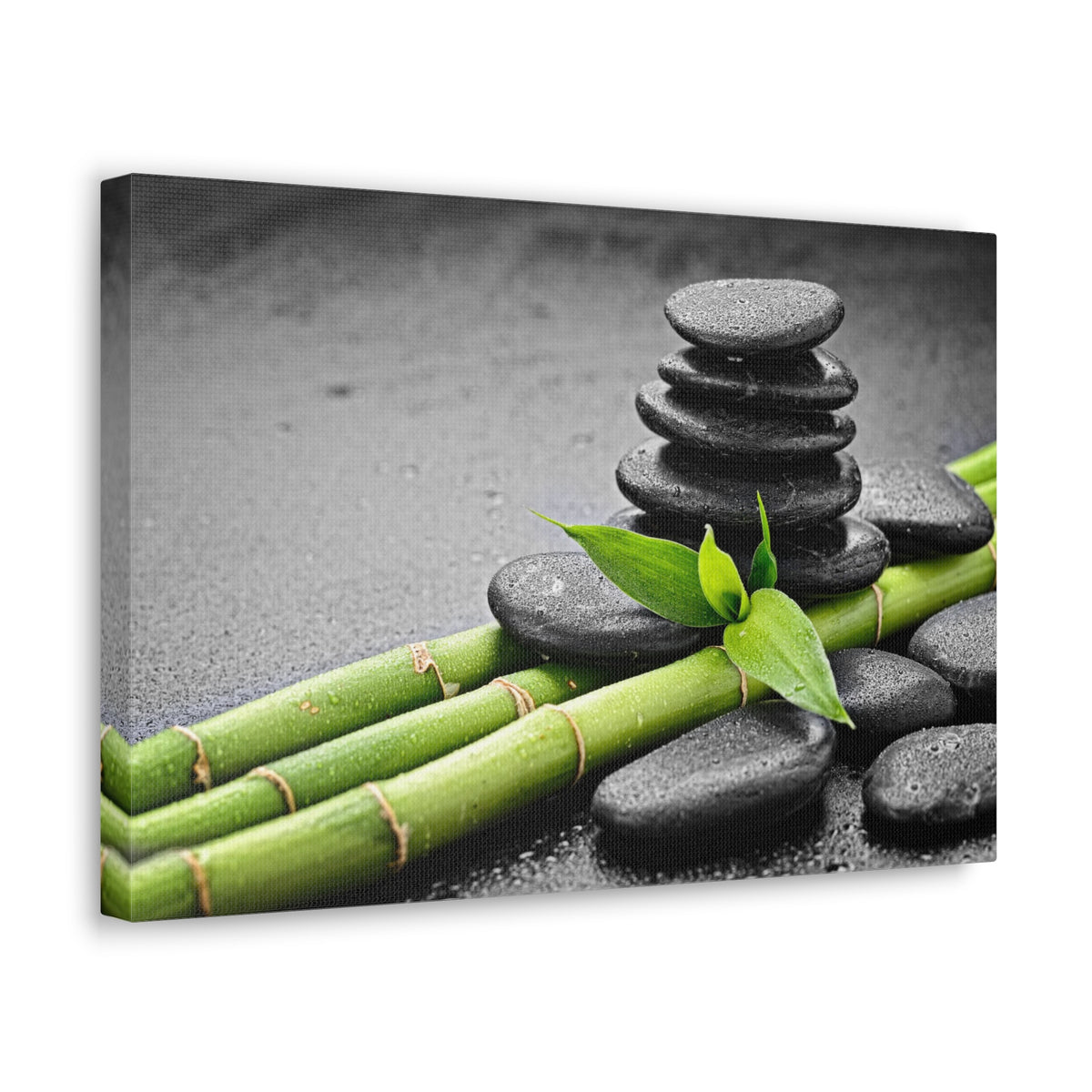 Bamboo on the Black Forest Floral Nature Photography Canvas Wall Art for Home Decor Ready-to-Hang-Express Your Love Gifts