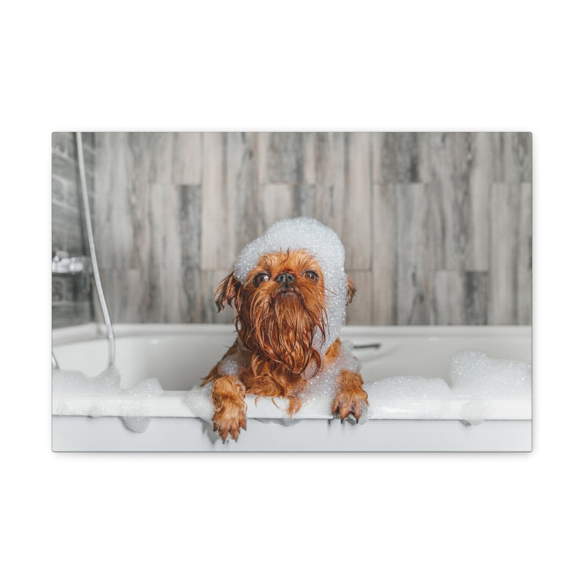 Cute Little Griffon Bathee Canvas Wall Art for Home Decor Ready-to-Hang-Express Your Love Gifts