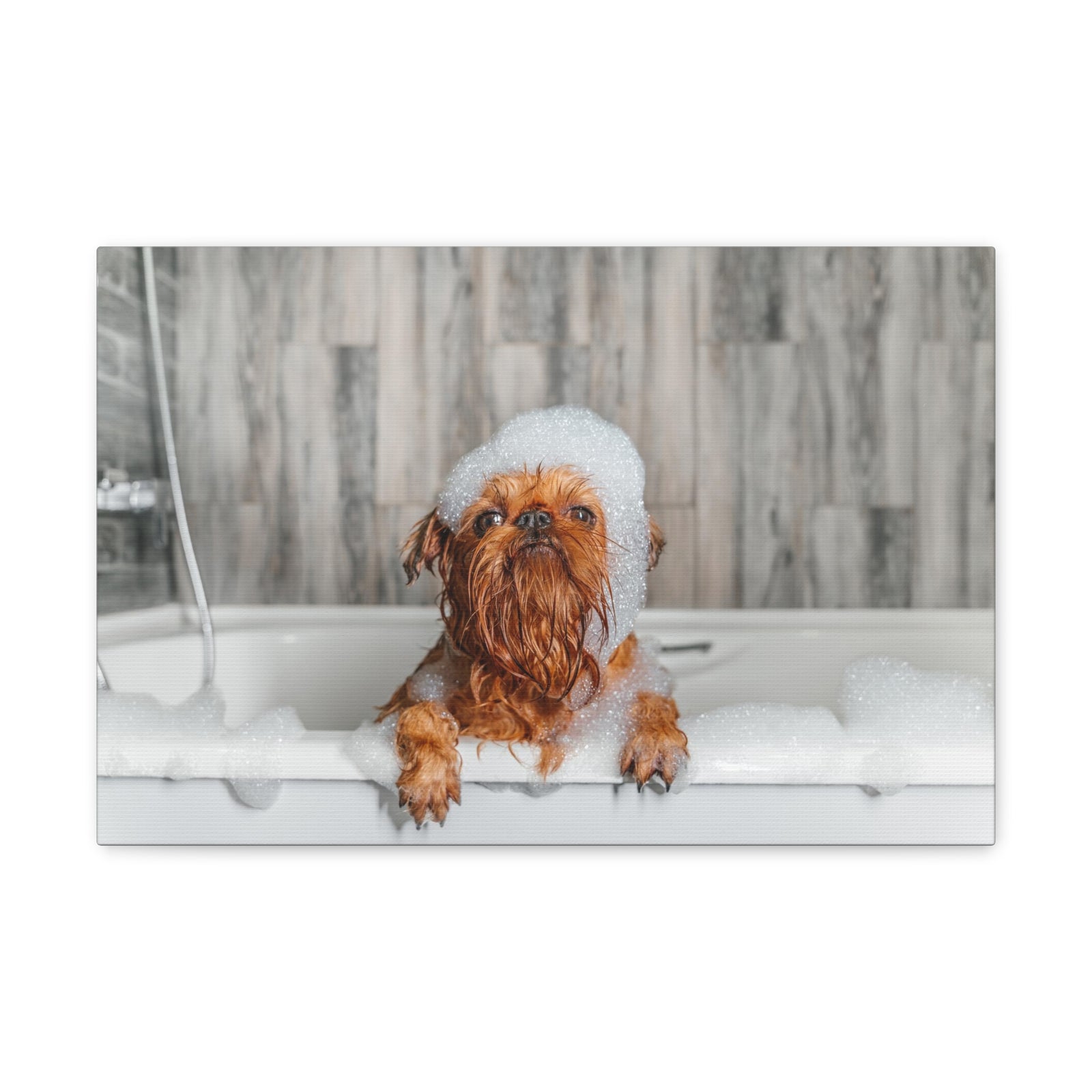Cute Little Griffon Bathee Canvas Wall Art for Home Decor Ready-to-Hang-Express Your Love Gifts