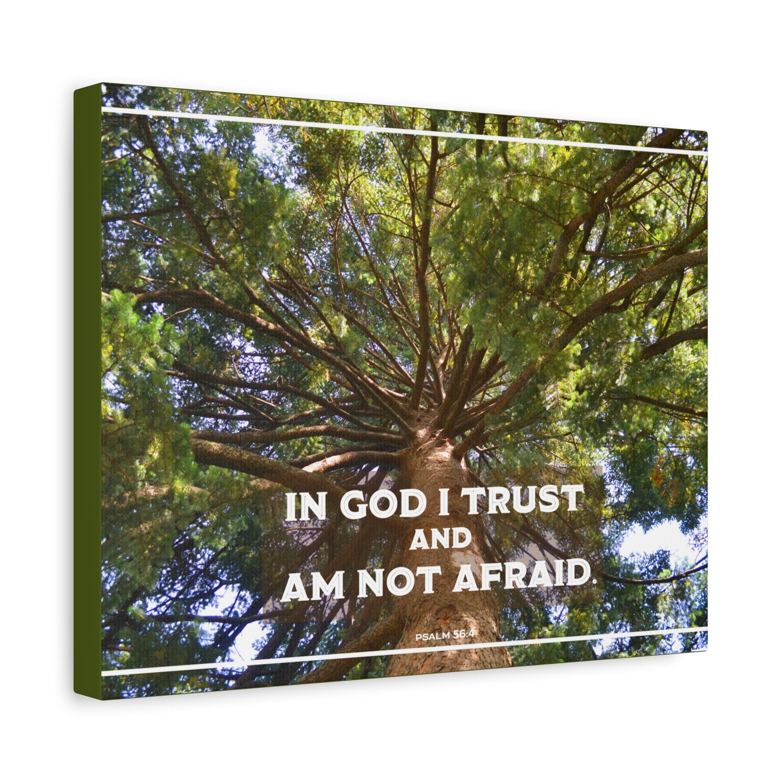 Scripture Walls In God I Trust Psalm 56:4 Bible Verse Canvas Christian Wall Art Ready to Hang-Express Your Love Gifts