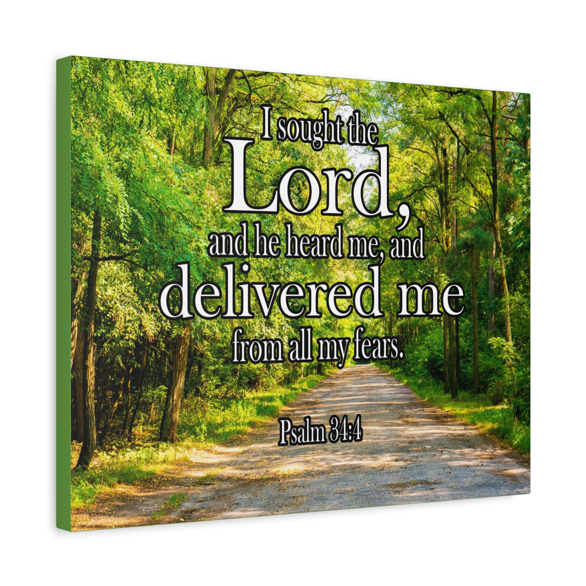 Scripture Canvas Lord Delivered Me Psalm 34:4 Christian Wall Art Bible Verse Print Ready to Hang-Express Your Love Gifts