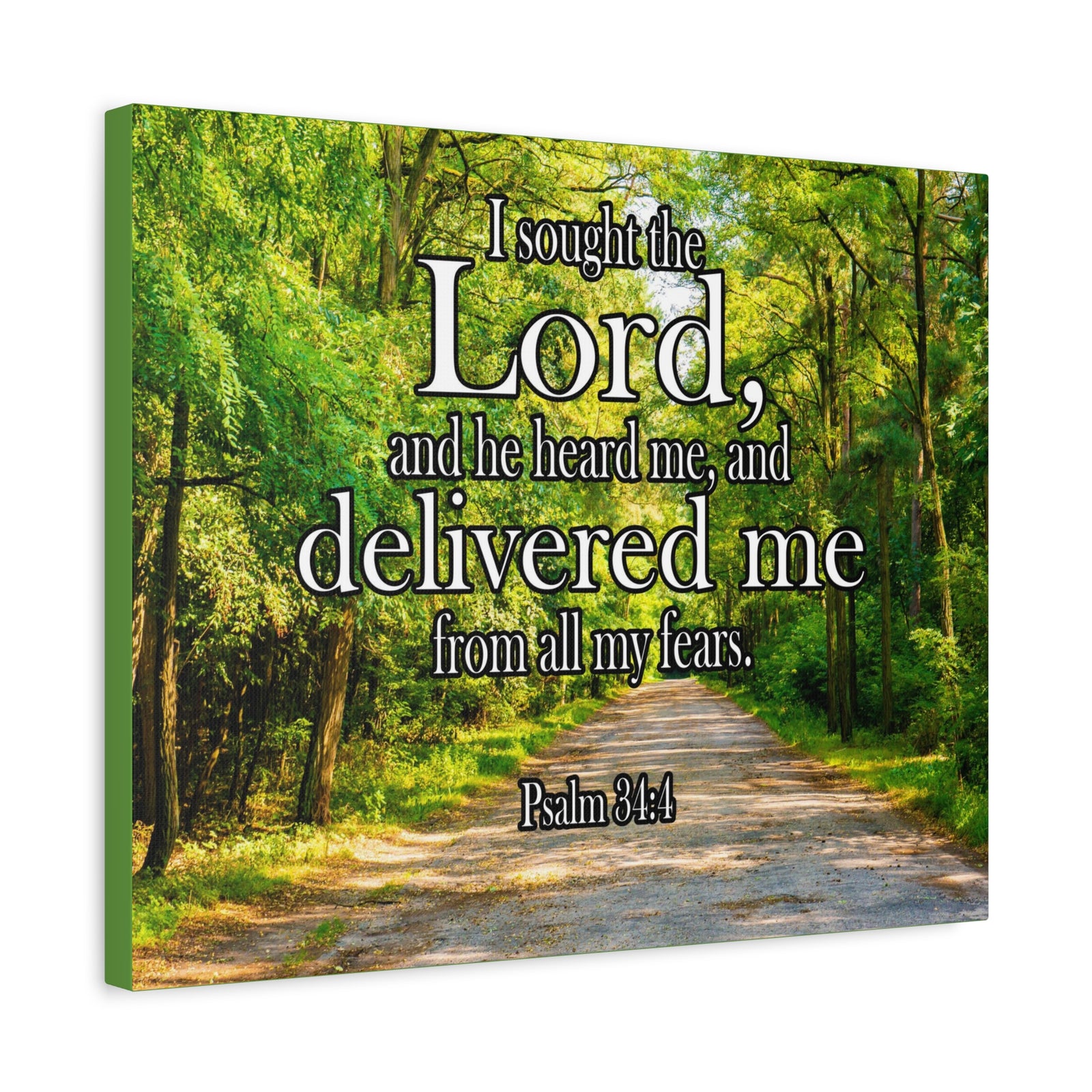 Scripture Canvas Lord Delivered Me Psalm 34:4 Christian Wall Art Bible Verse Print Ready to Hang-Express Your Love Gifts