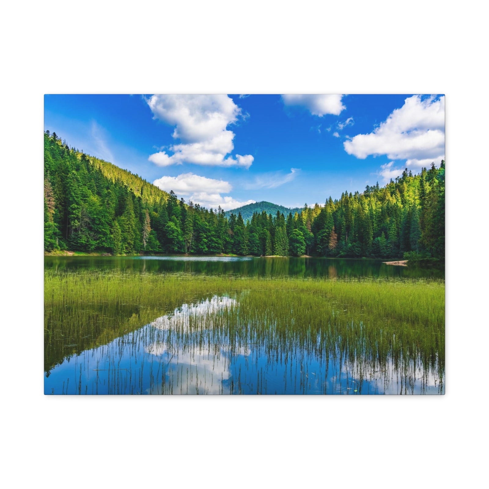 Teal Clear Forest LakeNature Wilderness Photography Canvas Wall Art for Home Decor Ready-to-Hang-Express Your Love Gifts