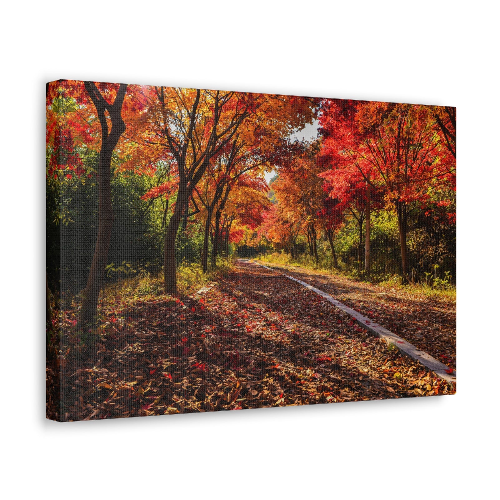 Orange Tree Path Autumn Park Nature Wilderness Photography Canvas Wall Art for Home Decor Ready-to-Hang-Express Your Love Gifts