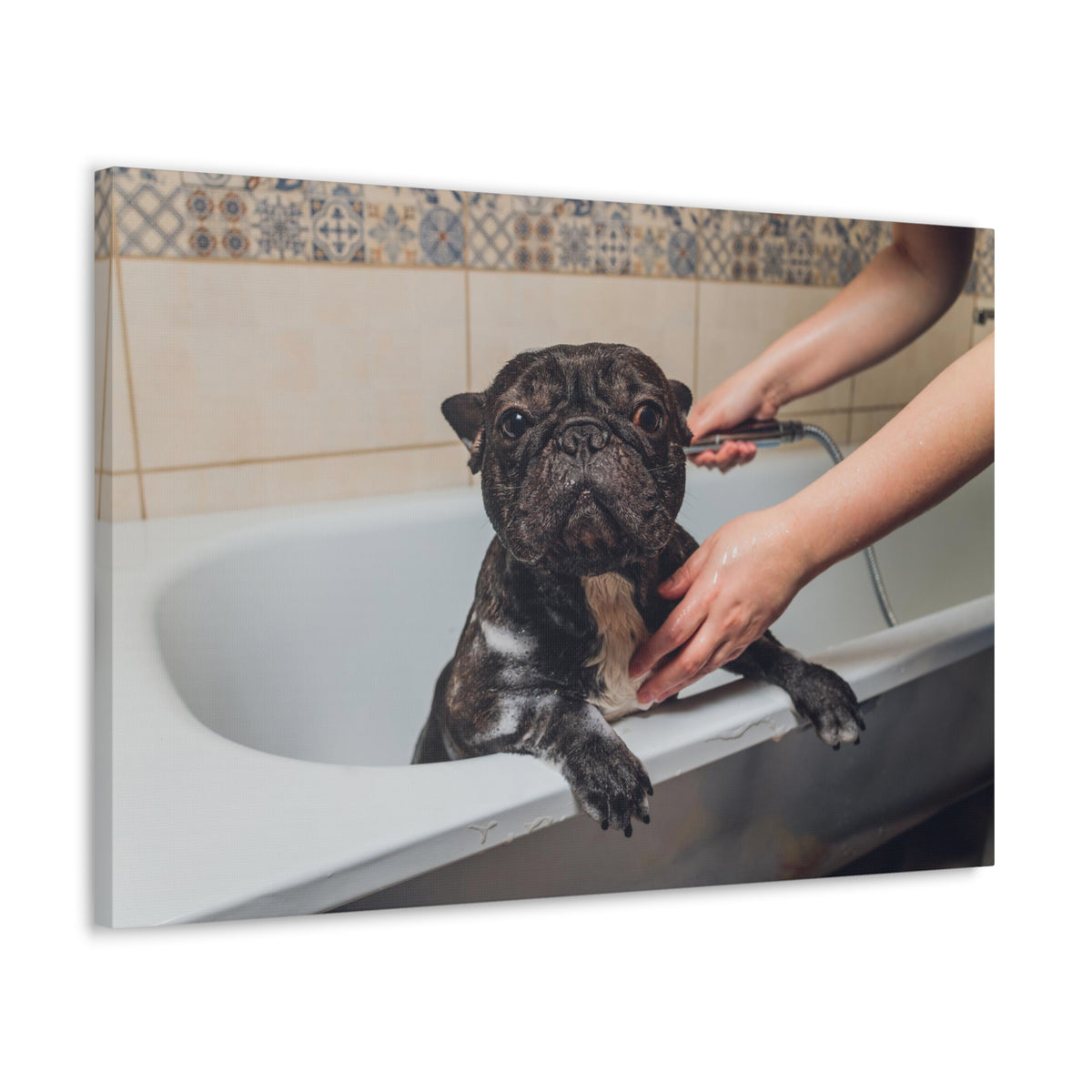 Cute French Bulldog Bath Canvas Wall Art for Home Decor Ready-to-Hang-Express Your Love Gifts