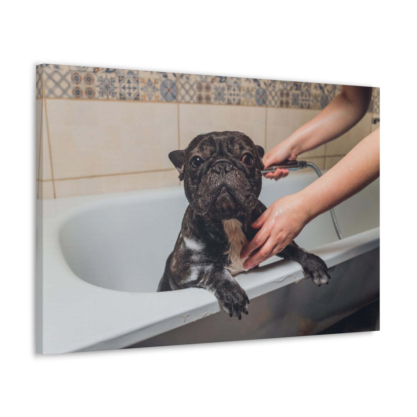 Cute French Bulldog Bath Canvas Wall Art for Home Decor Ready-to-Hang-Express Your Love Gifts