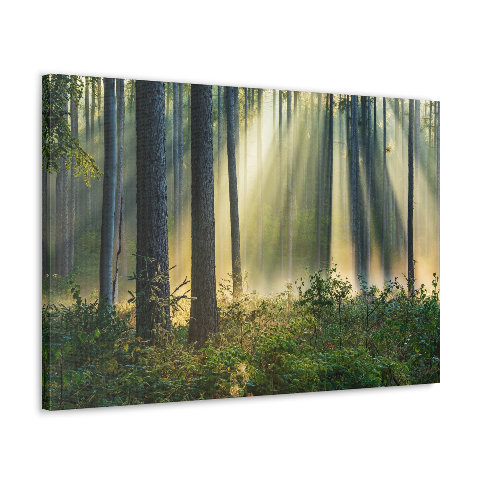Sunrise Green Forest Nature Wilderness Photography Canvas Wall Art for Home Decor Ready-to-Hang-Express Your Love Gifts
