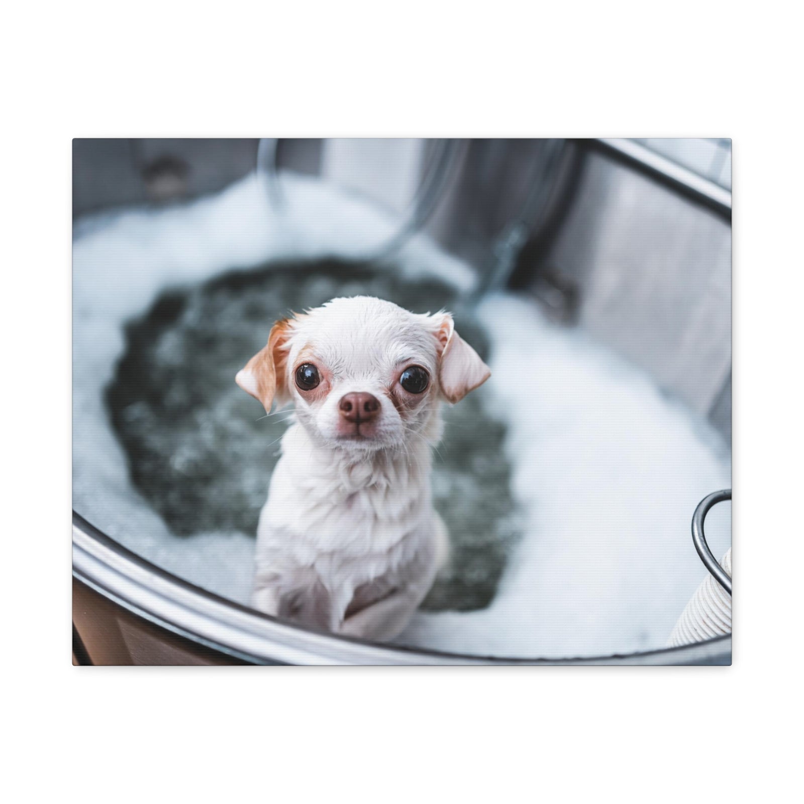 Cute Chihuahua Bathee Canvas Wall Art for Home Decor Ready-to-Hang-Express Your Love Gifts