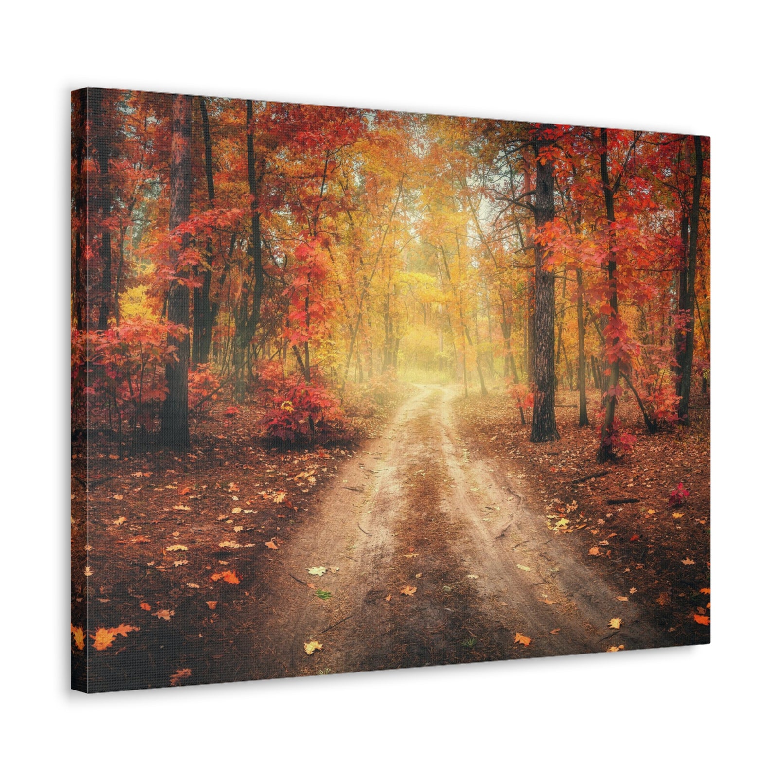 Autumn Forest Misty Orange Tree Path Nature Wilderness Photography Canvas Wall Art for Home Decor Ready-to-Hang-Express Your Love Gifts