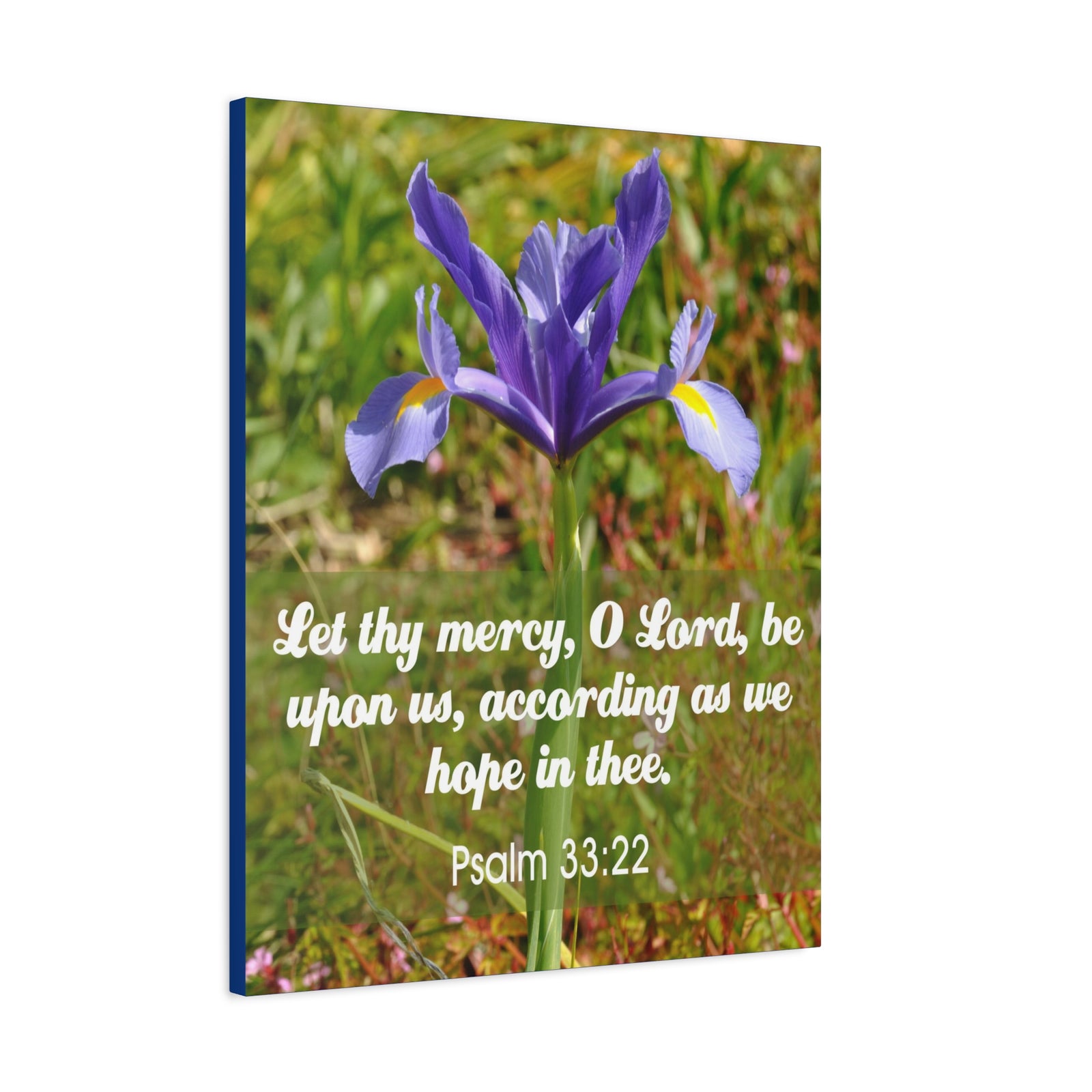 Scripture Walls Hope In Thee Psalm 33:22 Bible Verse Canvas Christian Wall Art Ready to Hang-Express Your Love Gifts