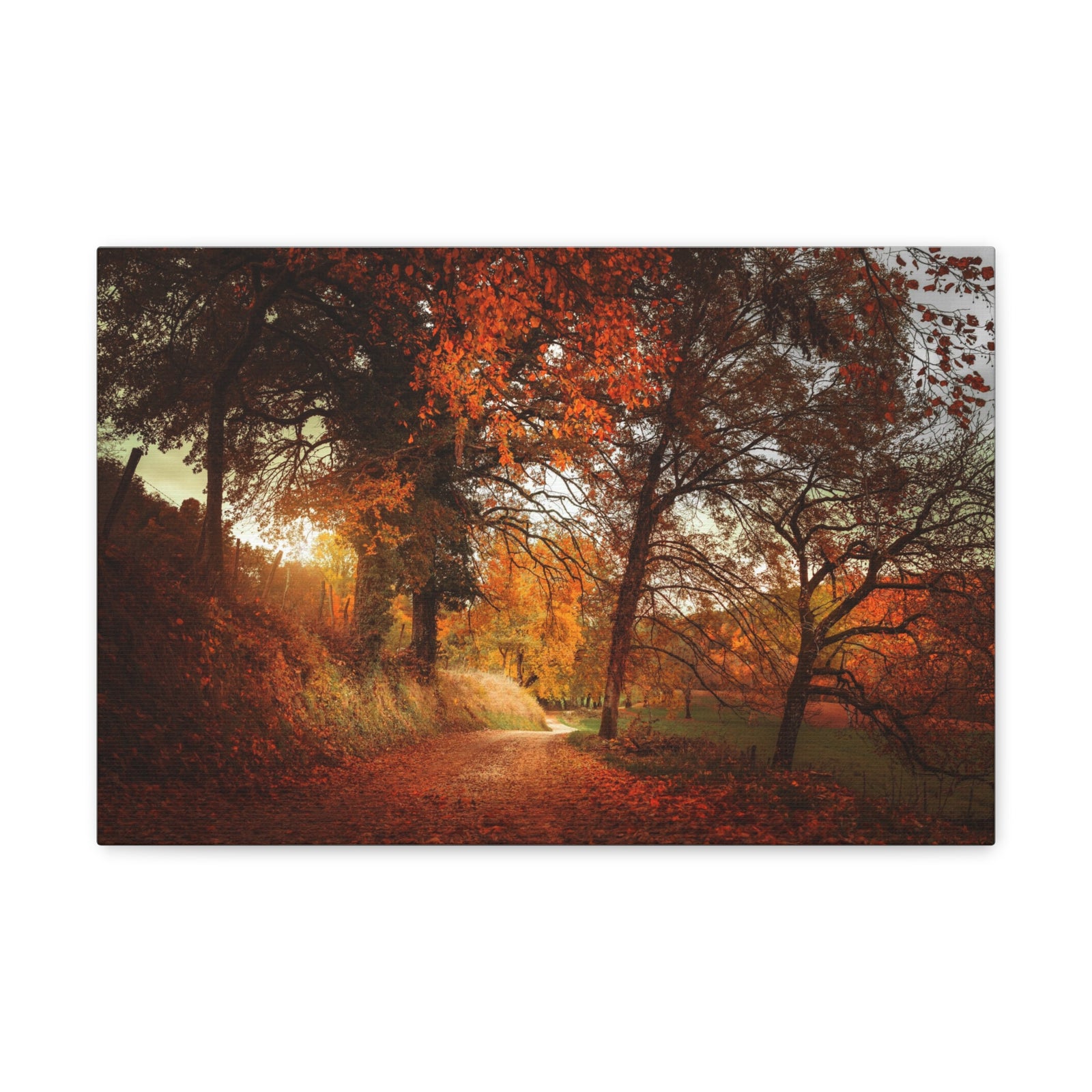 Autumn Park Orange Tree Nature Wilderness Photography Canvas Wall Art for Home Decor Ready-to-Hang-Express Your Love Gifts