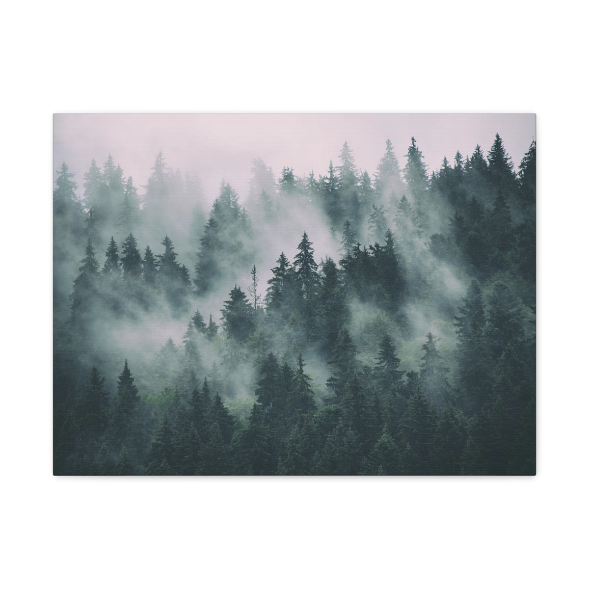 Misty Green Forest Pine Tree Nature Wilderness Photography Canvas Wall Art for Home Decor Ready-to-Hang-Express Your Love Gifts