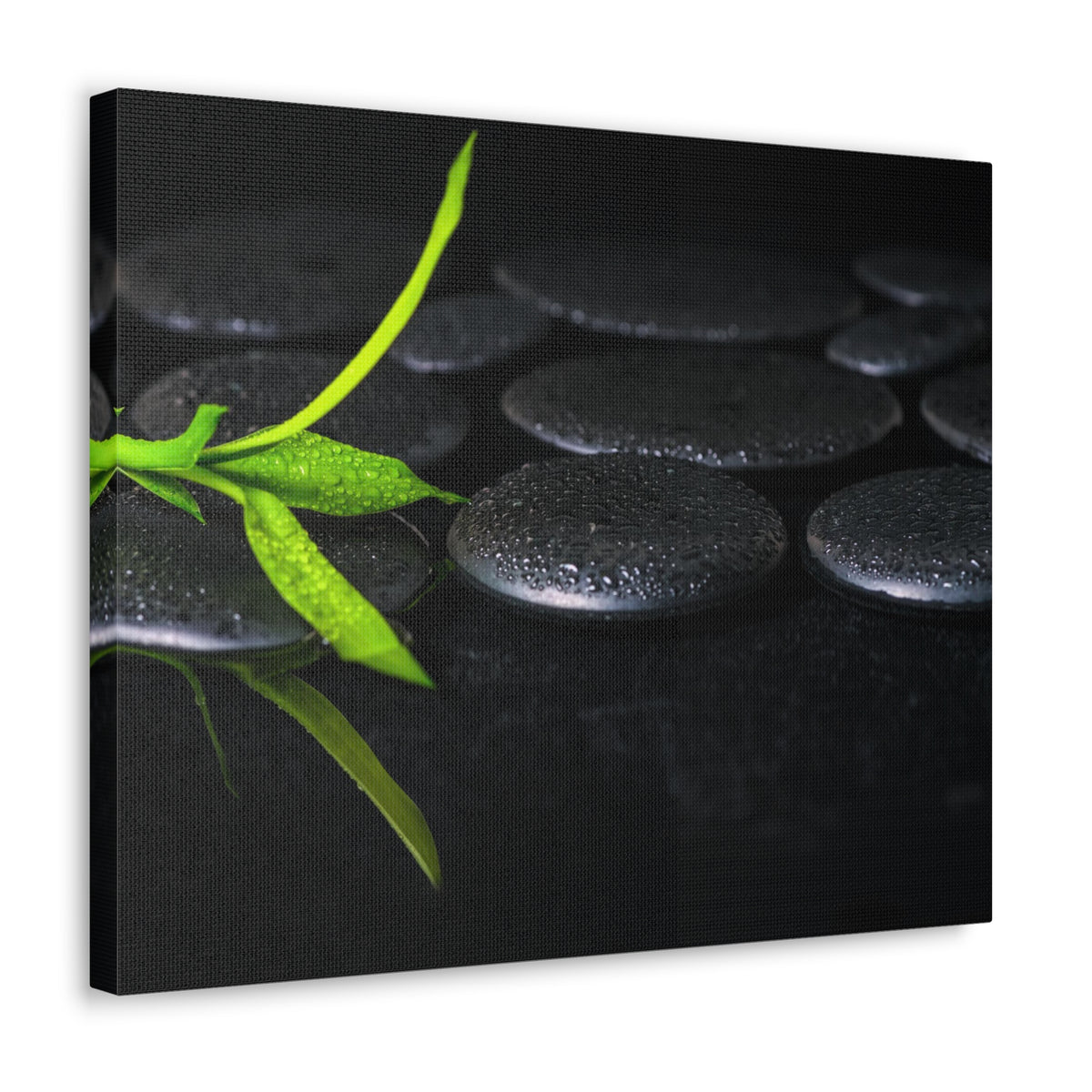 Green Bamboo on Stones Forest Floral Nature Photography Canvas Wall Art for Home Decor Ready-to-Hang-Express Your Love Gifts