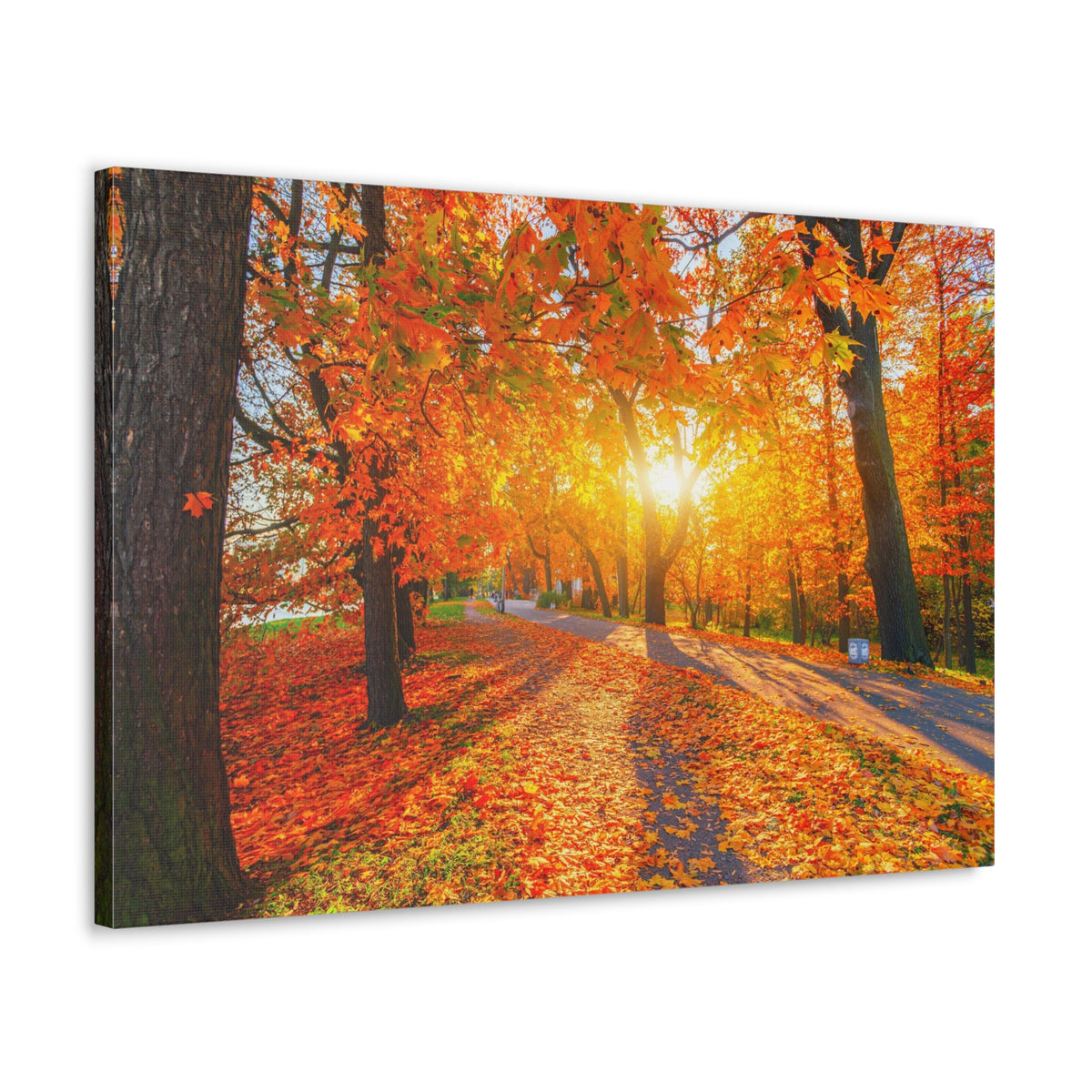 Autumn Forest Path Forest Floral Nature Photography Canvas Wall Art for Home Decor Ready-to-Hang-Express Your Love Gifts