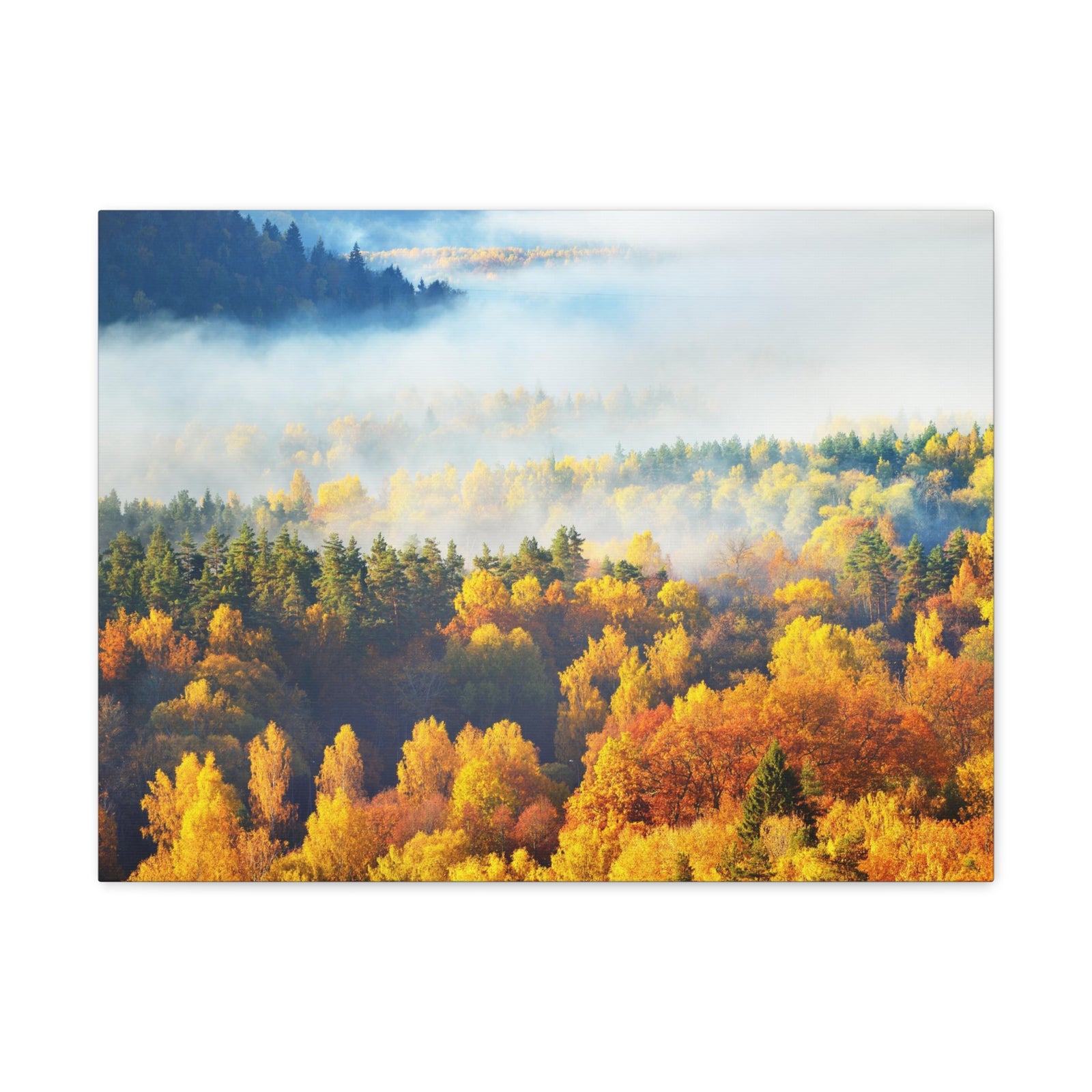 Forest Mystic Autumn Nature Wilderness Photography Canvas Wall Art for Home Decor Ready-to-Hang-Express Your Love Gifts