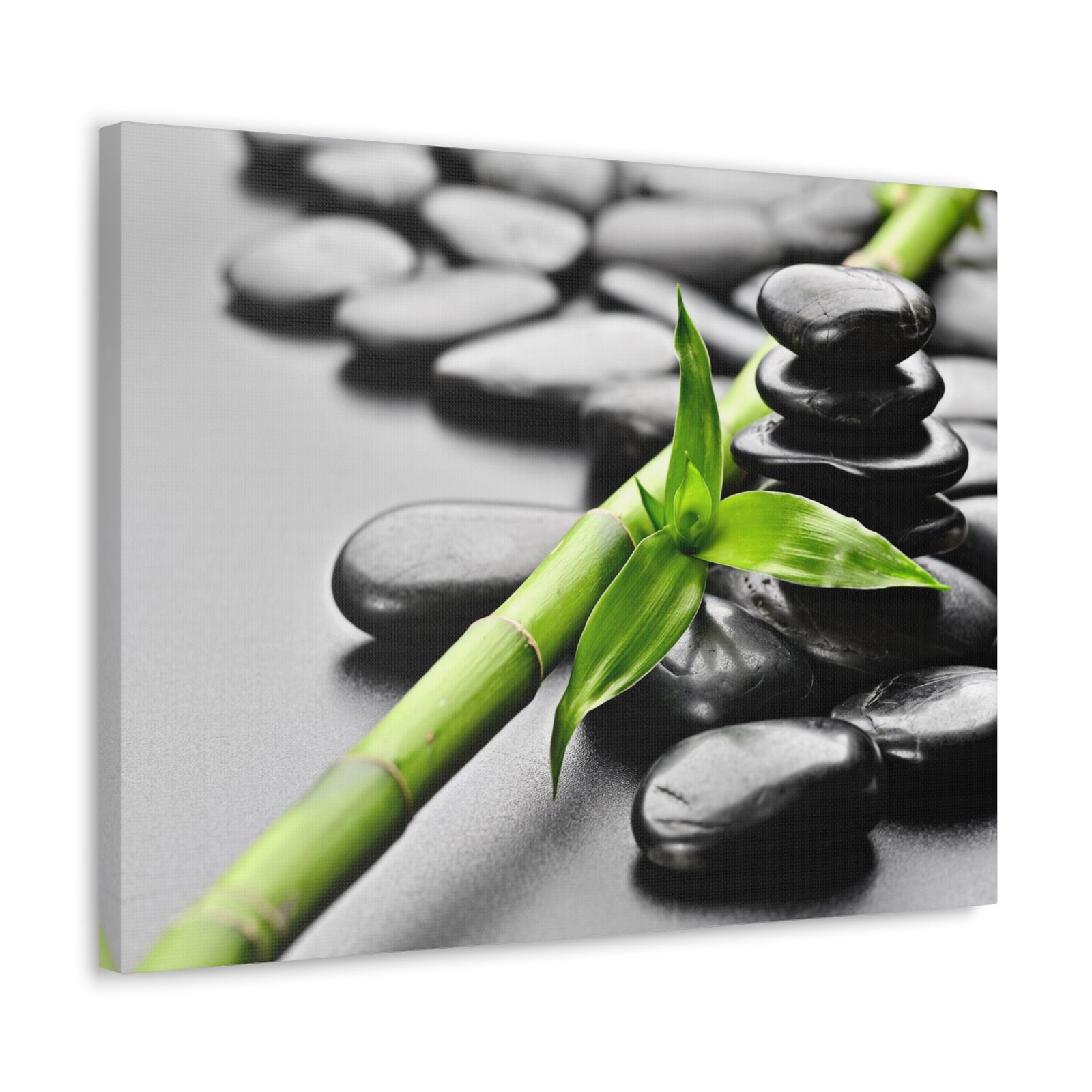 Basalt Stones on Black Forest Floral Nature Photography Canvas Wall Art for Home Decor Ready-to-Hang-Express Your Love Gifts