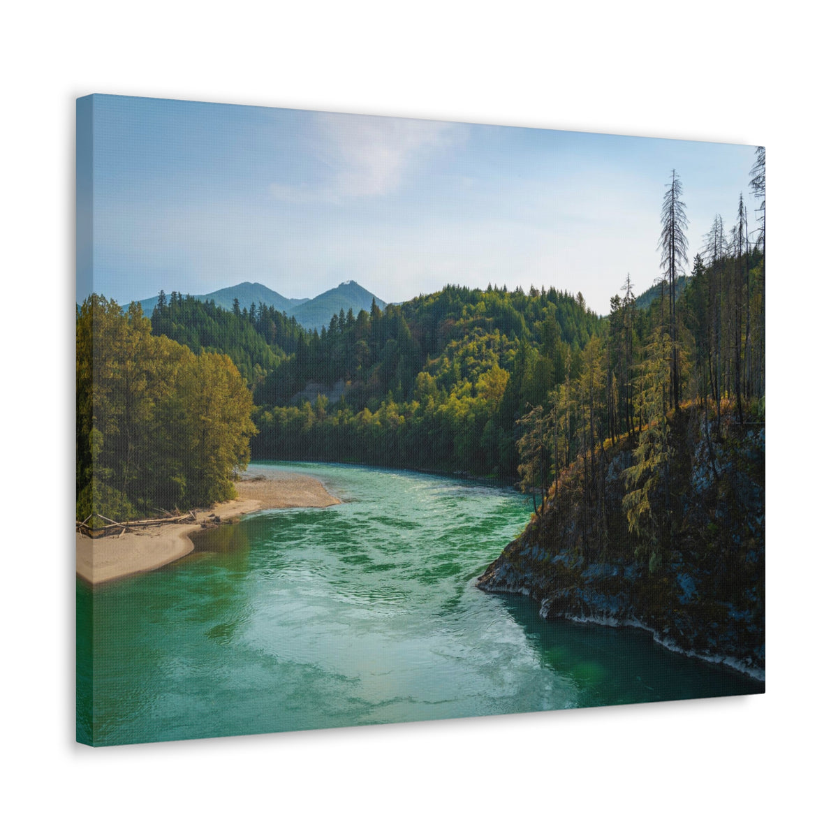 River Through Pine Tree Green Forest Nature Wilderness Photography Canvas Wall Art for Home Decor Ready-to-Hang-Express Your Love Gifts