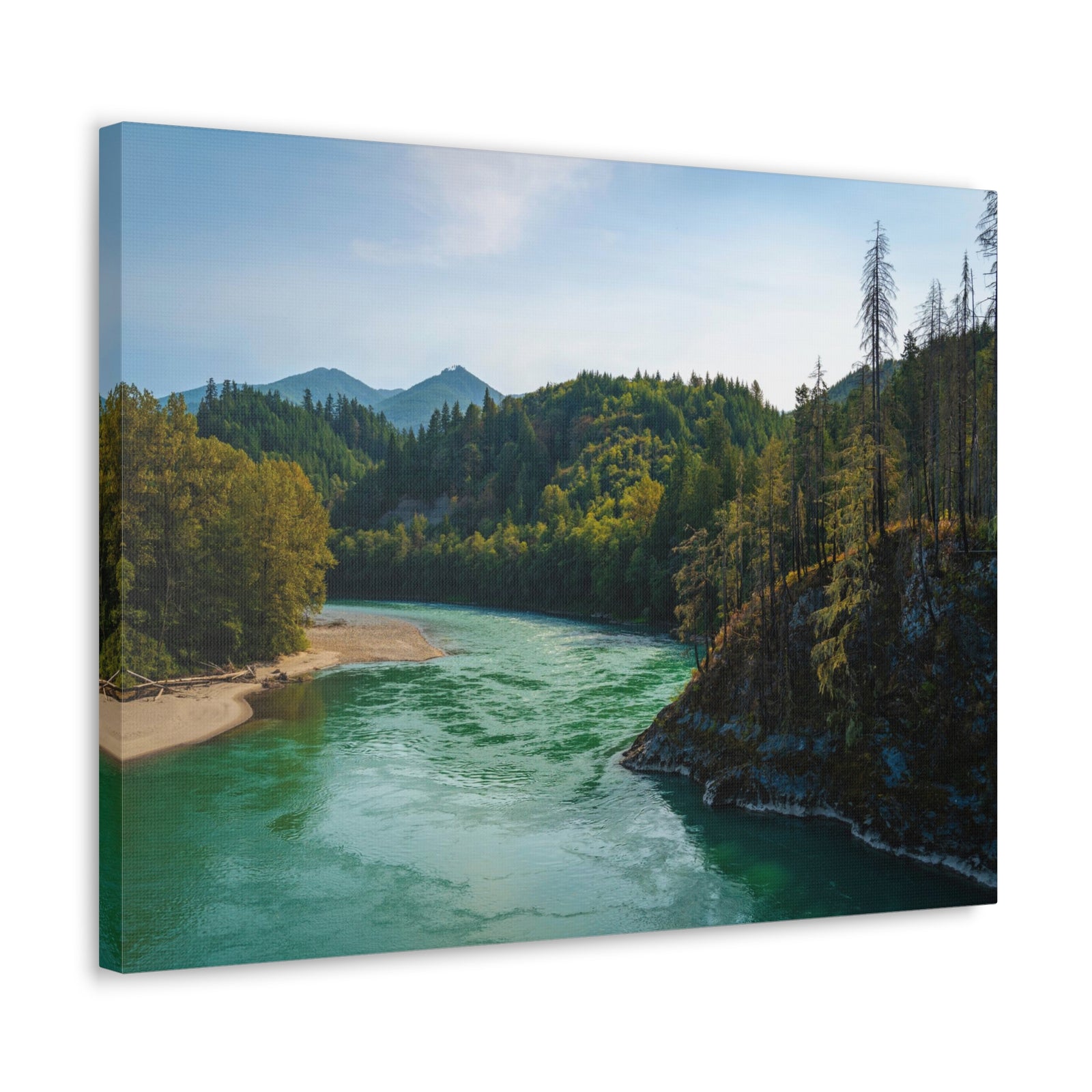 River Through Pine Tree Green Forest Nature Wilderness Photography Canvas Wall Art for Home Decor Ready-to-Hang-Express Your Love Gifts