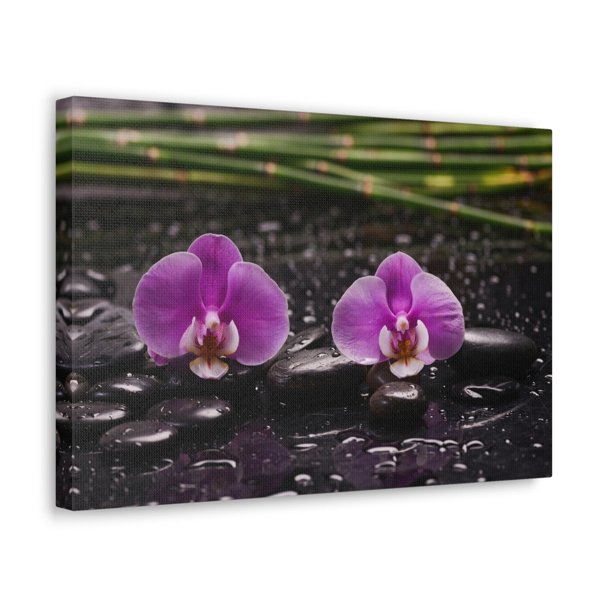 Two Pink Orchid Forest Floral Nature Photography Canvas Wall Art for Home Decor Ready-to-Hang-Express Your Love Gifts