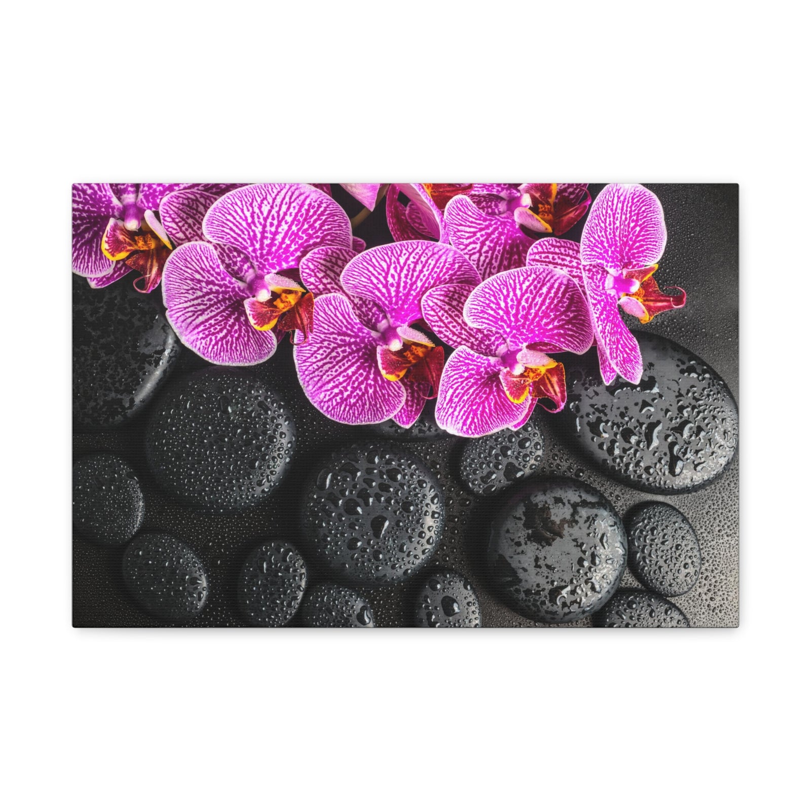 Violet Orchid on Stones Forest Floral Nature Photography Canvas Wall Art for Home Decor Ready-to-Hang-Express Your Love Gifts