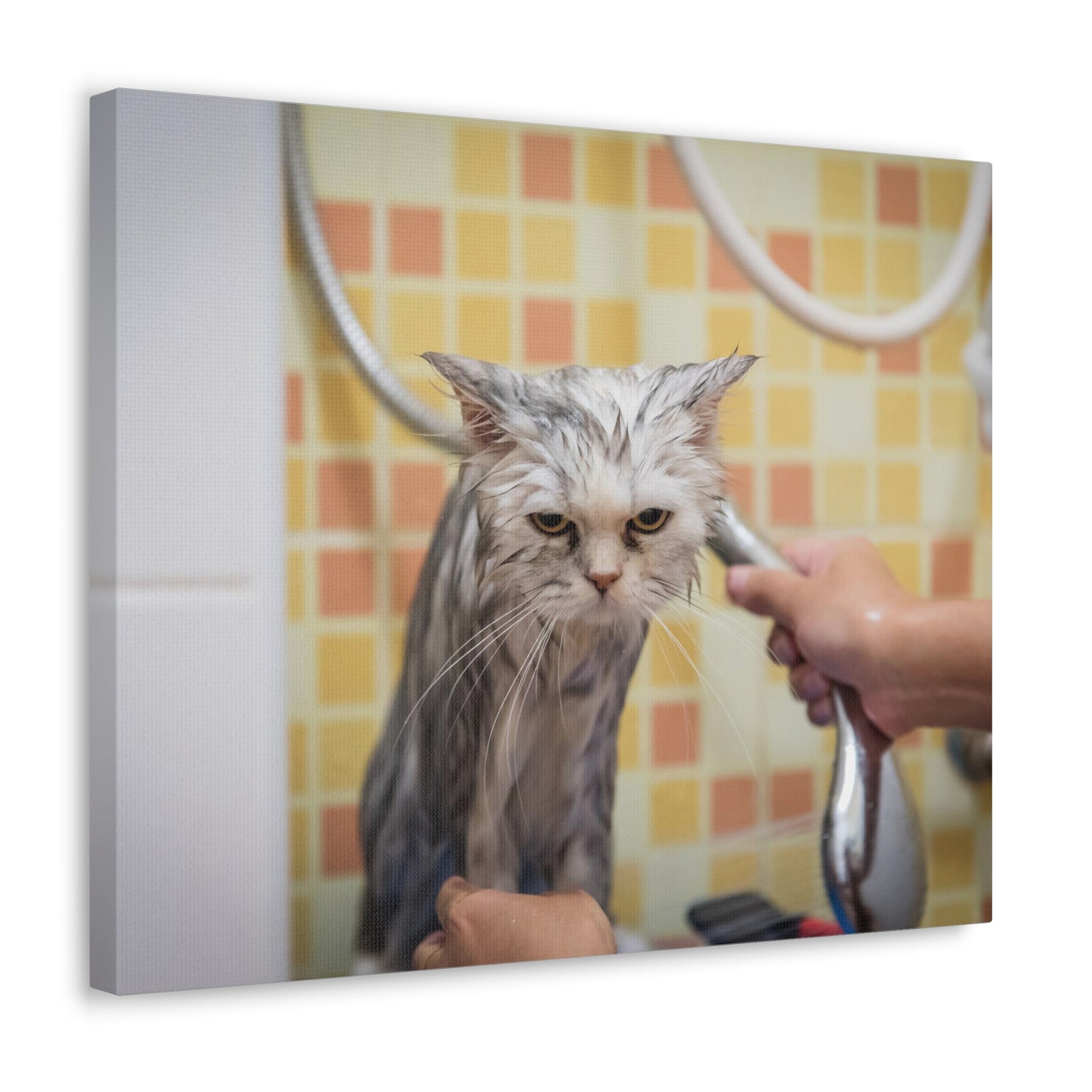 Cute Maine Coon Bath Canvas Wall Art for Home Decor Ready-to-Hang-Express Your Love Gifts