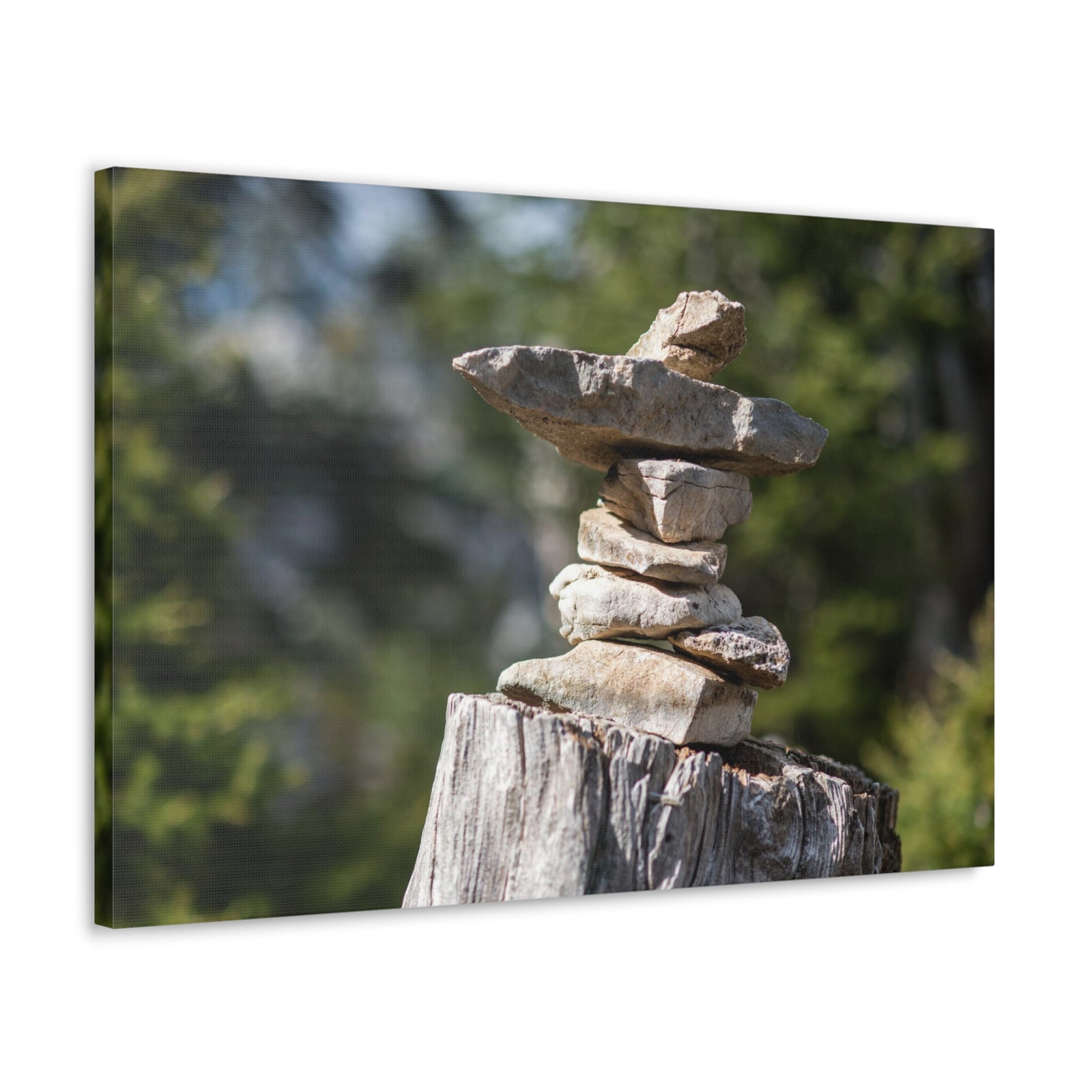 Stones Trail as Marker Forest Floral Nature Photography Canvas Wall Art for Home Decor Ready-to-Hang-Express Your Love Gifts