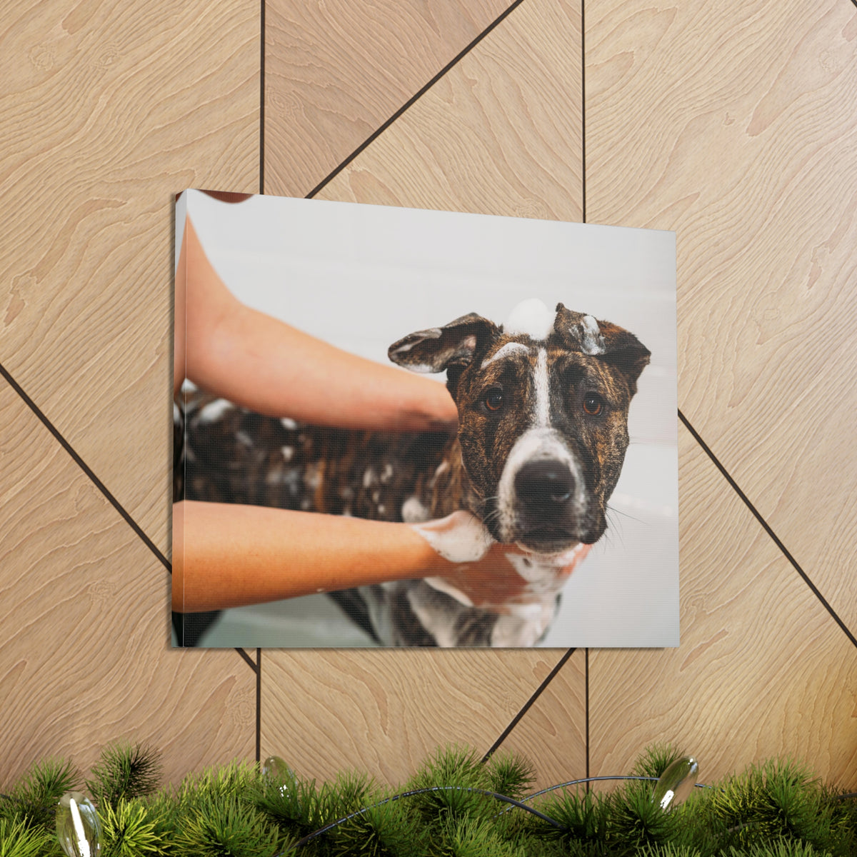 Cute American Staffordshire Terrier Bathee Canvas Wall Art for Home Decor Ready-to-Hang-Express Your Love Gifts