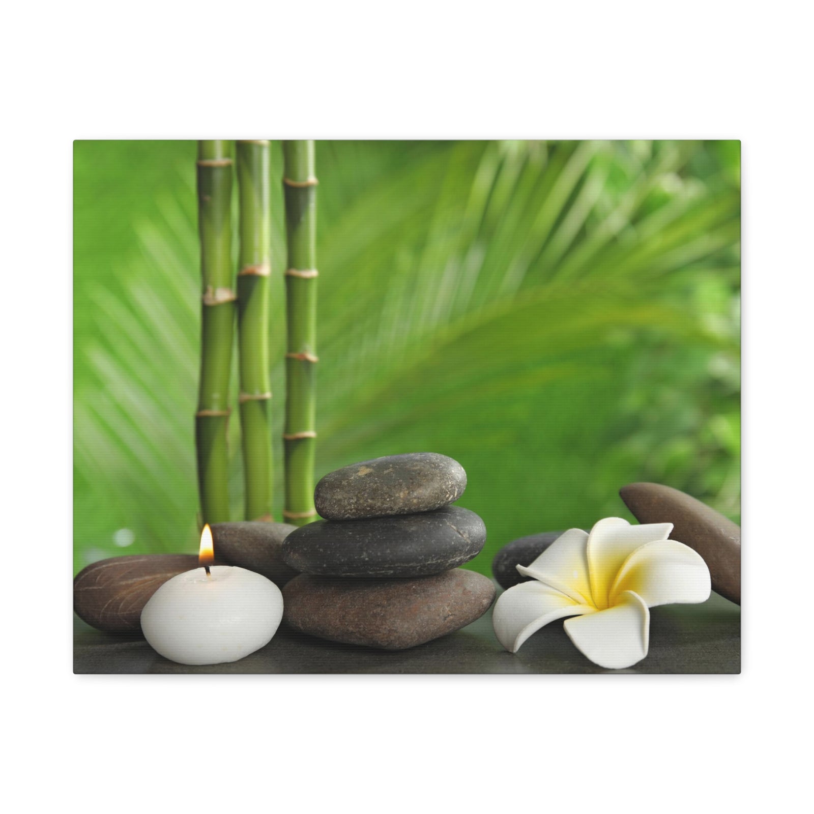 Stones on Table Forest Floral Nature Photography Canvas Wall Art for Home Decor Ready-to-Hang-Express Your Love Gifts