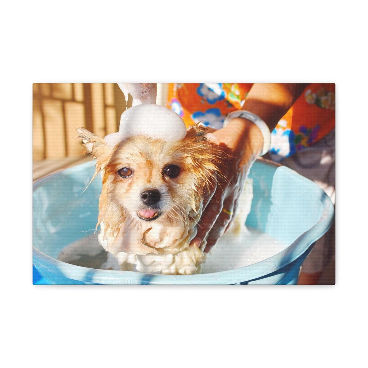 Cute Pomeranian Bathee Canvas Wall Art for Home Decor Ready-to-Hang-Express Your Love Gifts