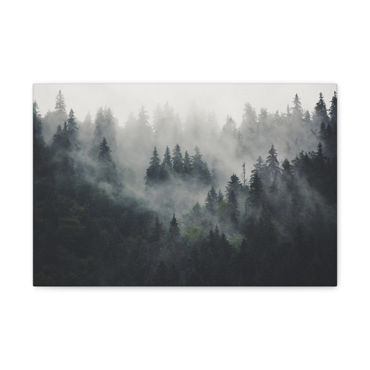 Misty Pine Tree Green Forest Nature Wilderness Photography Canvas Wall Art for Home Decor Ready-to-Hang-Express Your Love Gifts