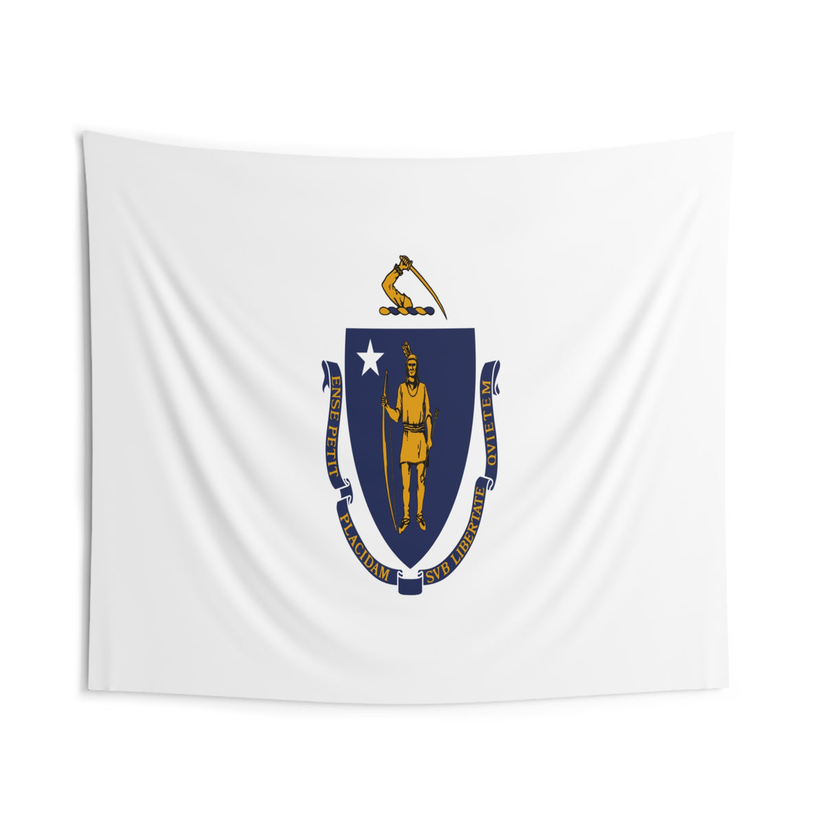 Massachusetts State Flag Wall Hanging Tapestry-Express Your Love Gifts
