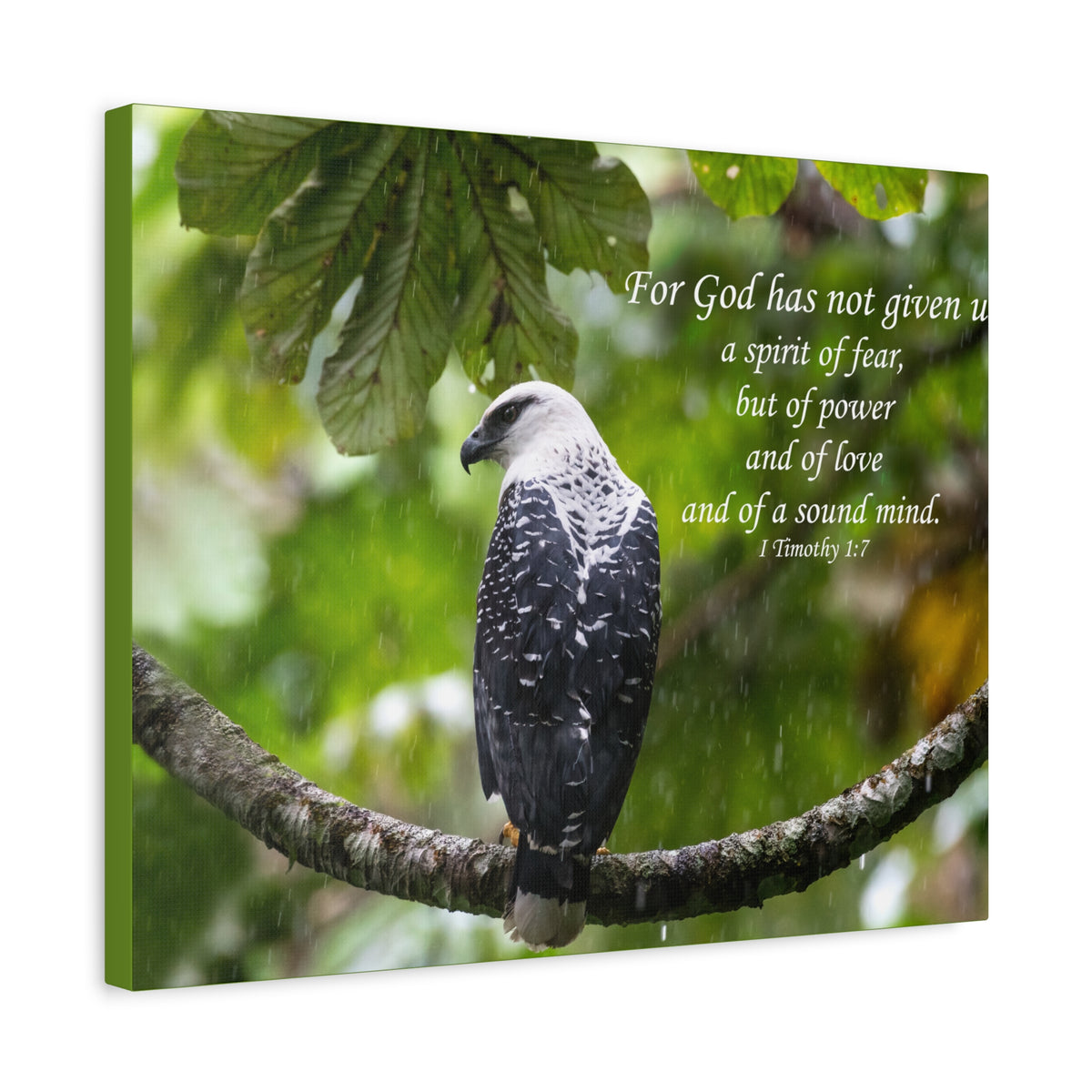 Scripture Canvas A Sound Mind 1 Timothy 1:7 Christian Wall Art Bible Verse Print Ready to Hang-Express Your Love Gifts