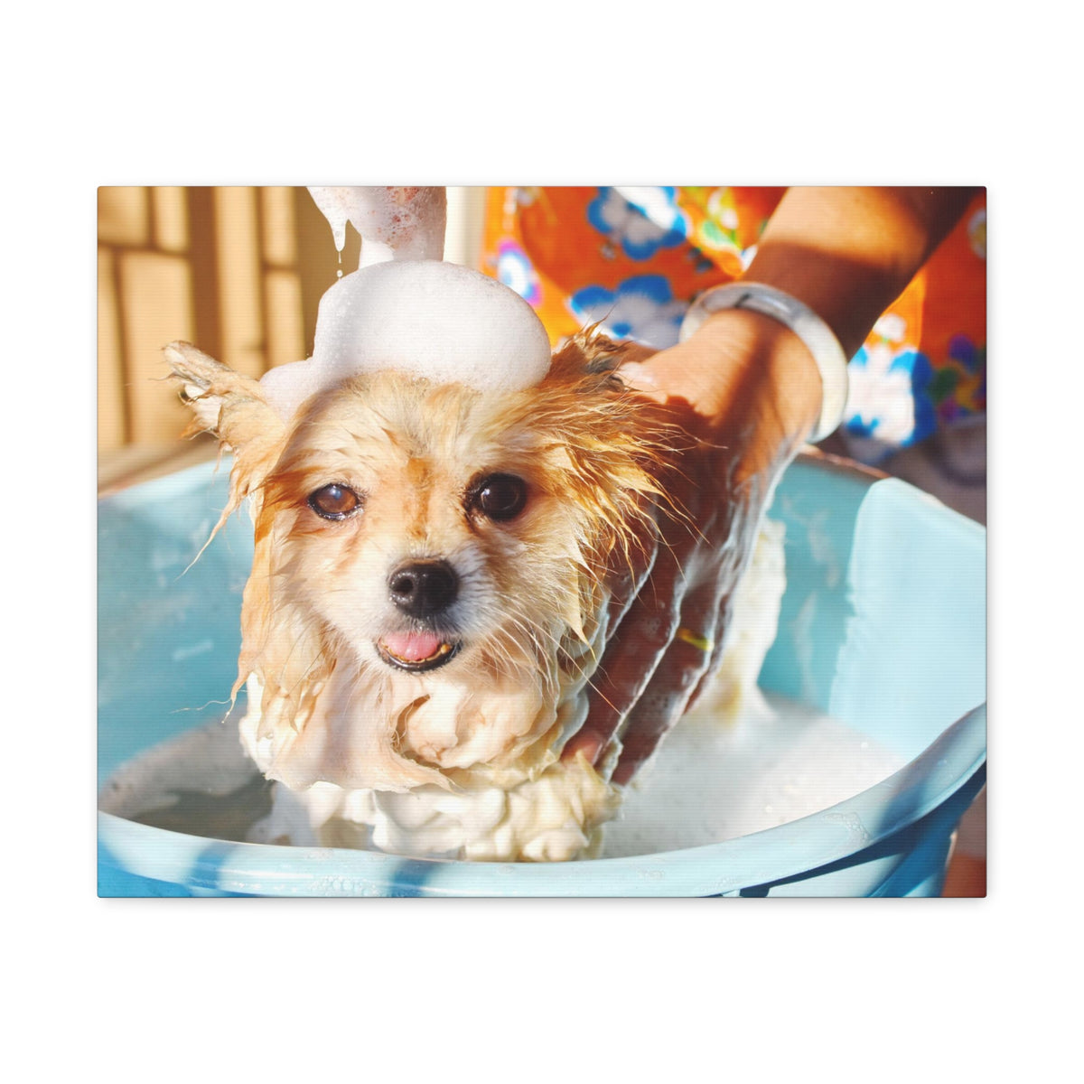 Cute Pomeranian Bathee Canvas Wall Art for Home Decor Ready-to-Hang-Express Your Love Gifts
