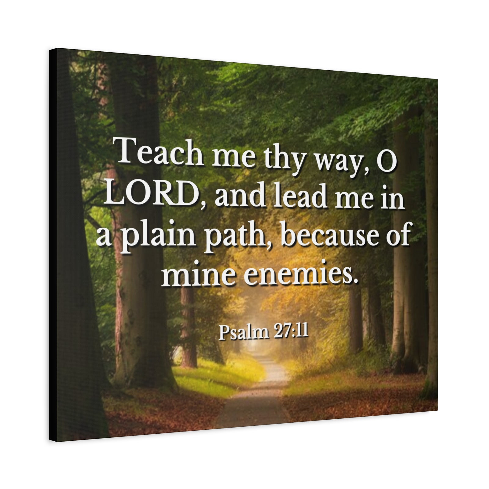 Scripture Canvas Plain Path Psalm 27:11 Christian Wall Art Bible Verse Print Ready to Hang-Express Your Love Gifts